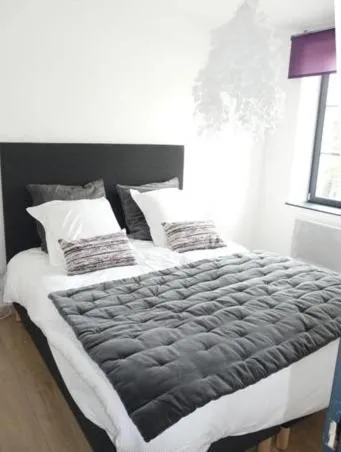 Photo of the whole room, Bed in Les Mini-lofts de Paul et Virginie