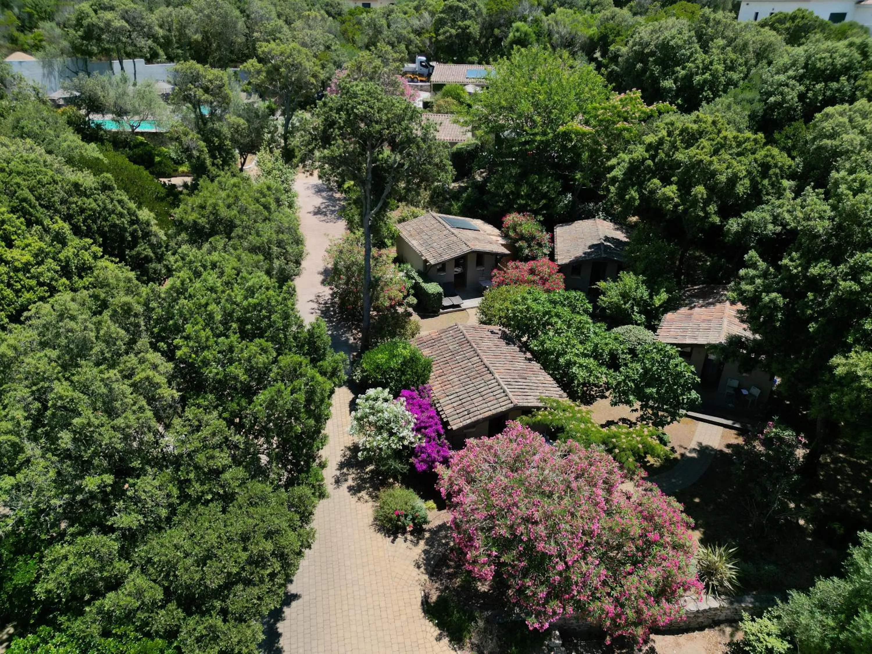 View (from property/room) in Résidence Sophia