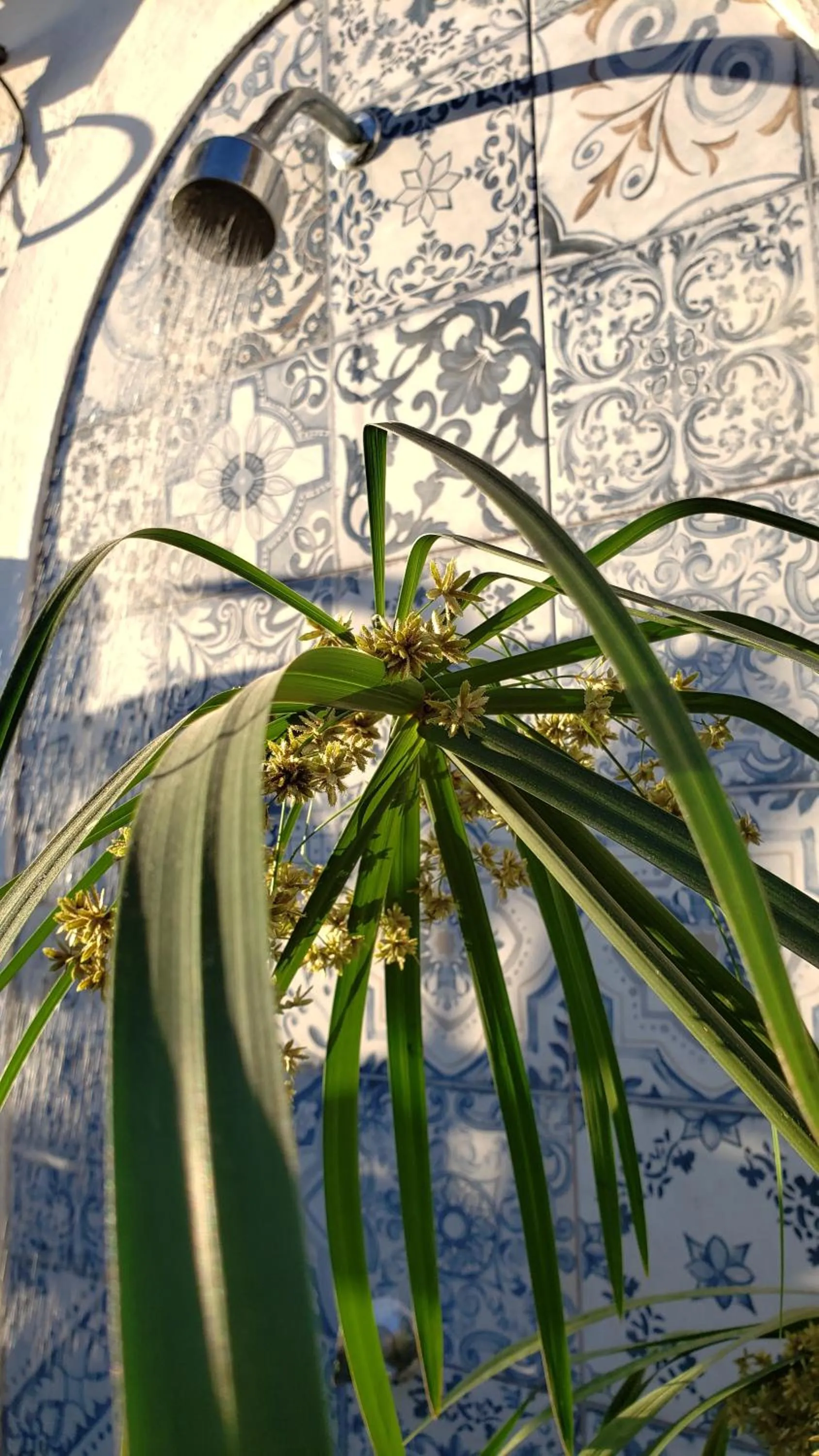 Area and facilities in Pousada Casa Búzios