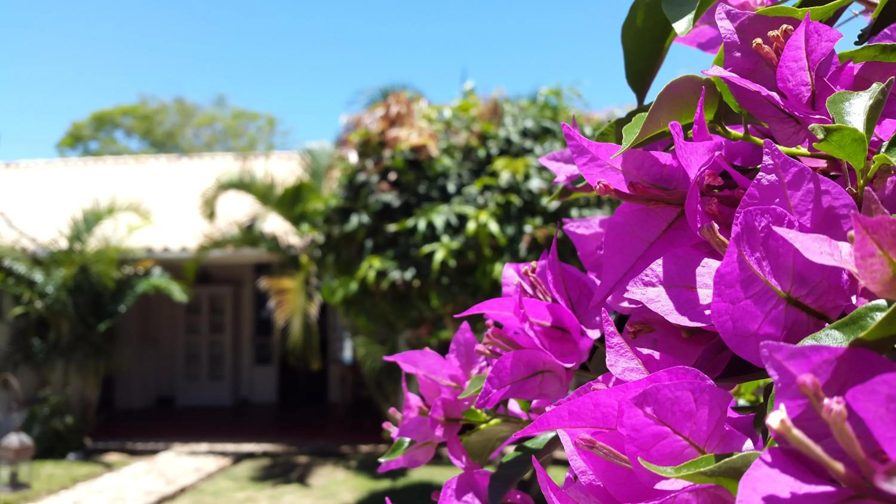 Garden in Pousada Casa Búzios