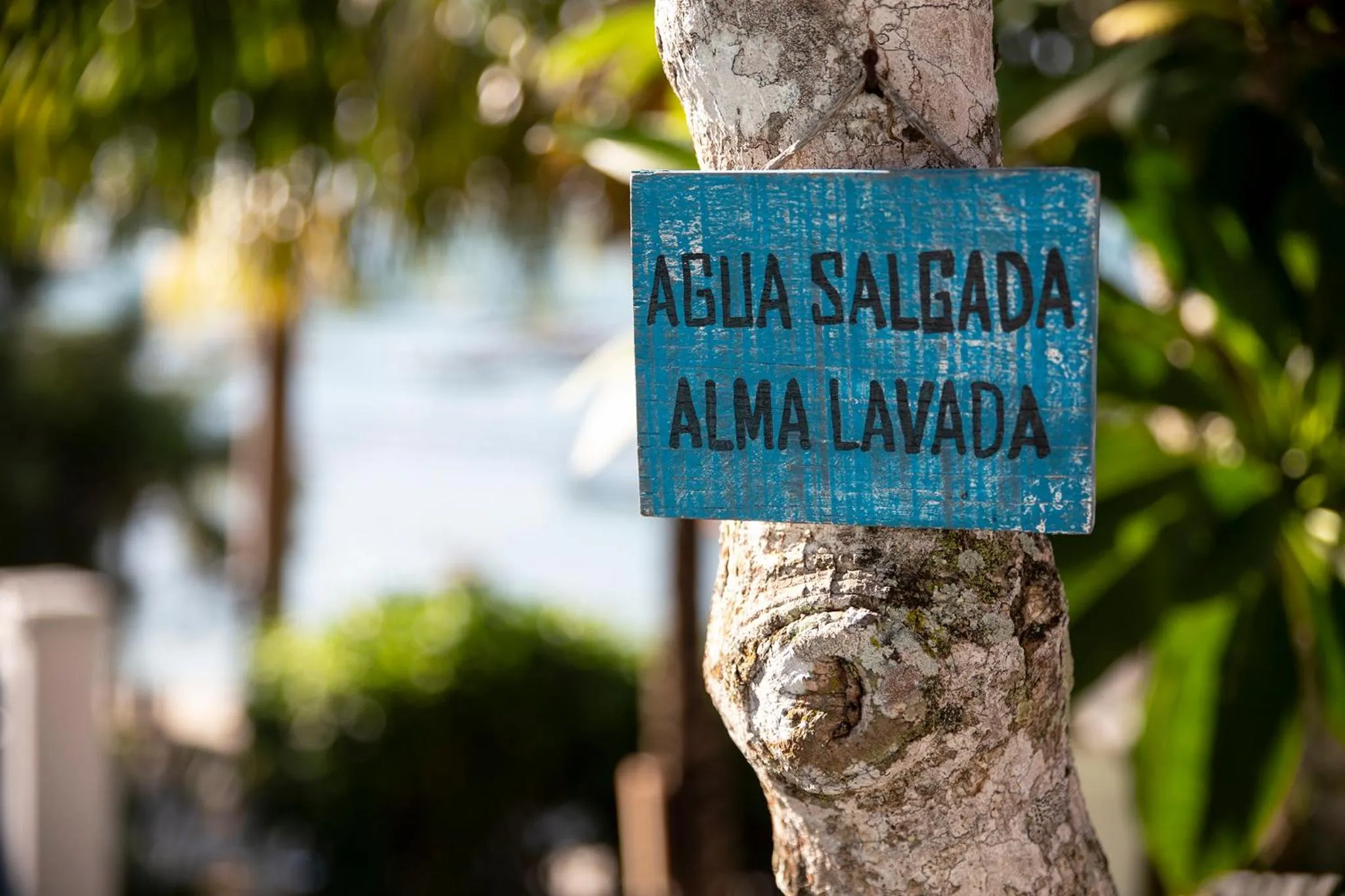 Garden in Pousada Casa Búzios