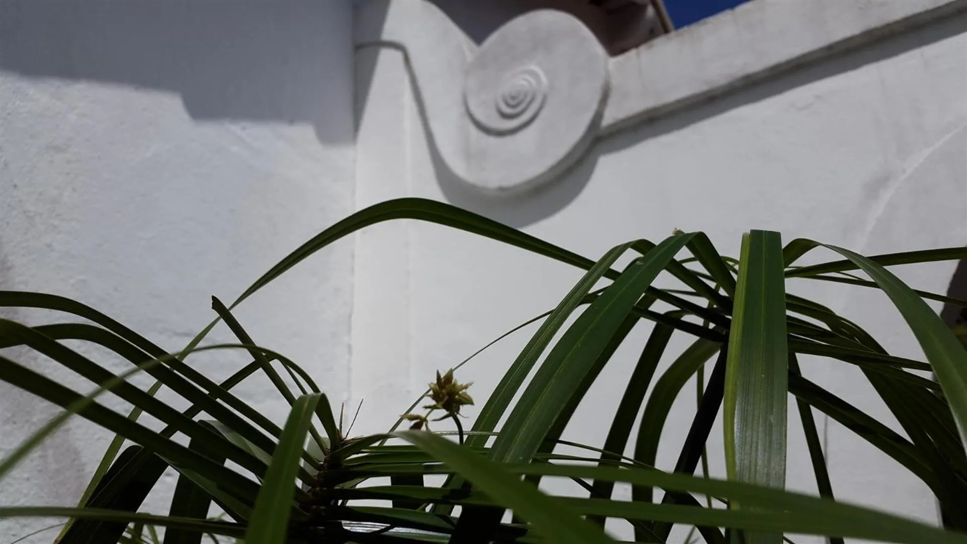 Decorative detail in Pousada Casa Búzios