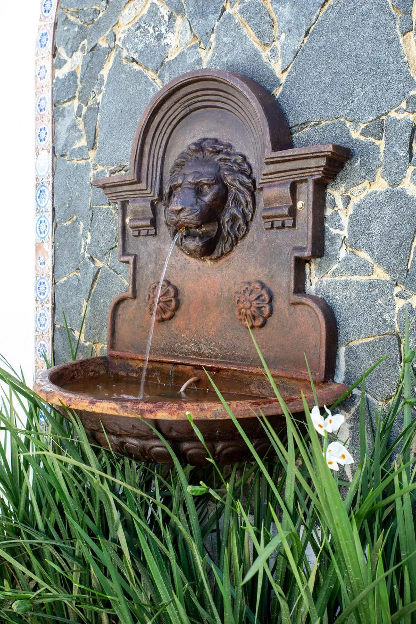Garden in Pousada Casa Búzios