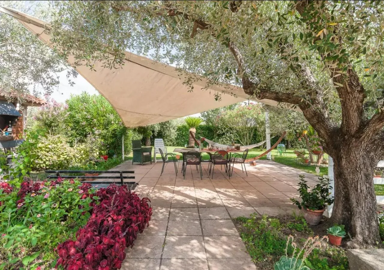 Patio in Villa Rosa Lifestyle B&B