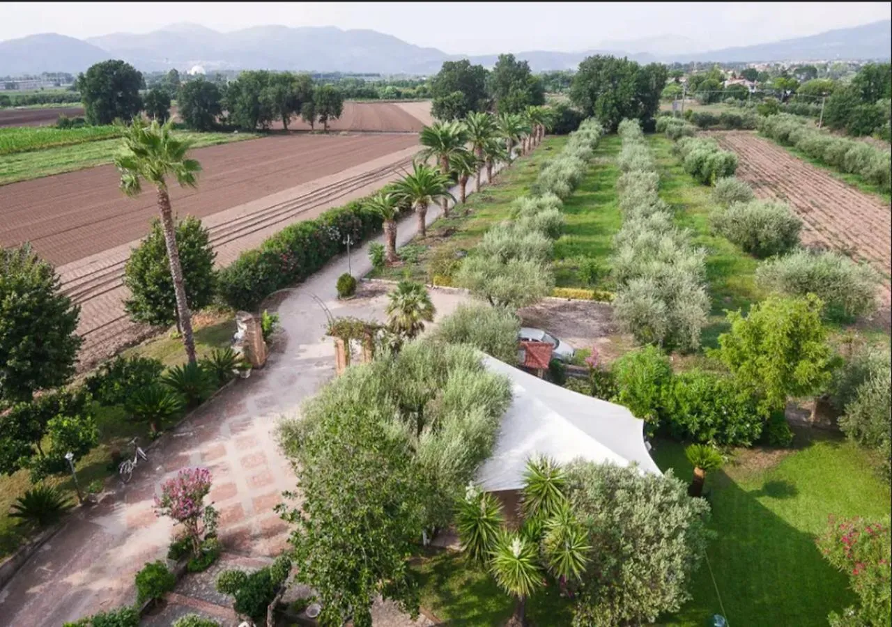 Bird's eye view in Villa Rosa Lifestyle B&B