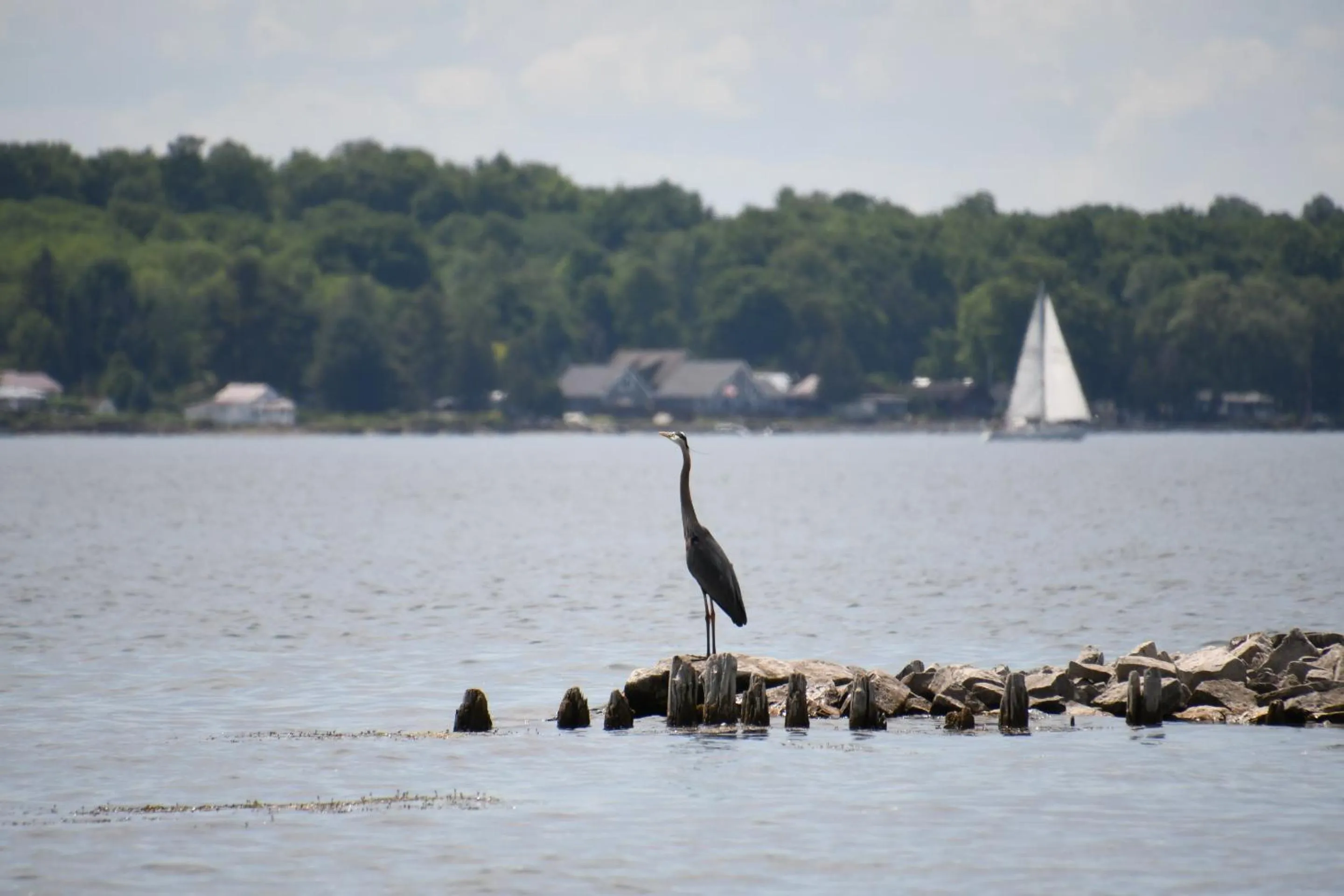Natural landscape in Dewar's Inn and Cottages