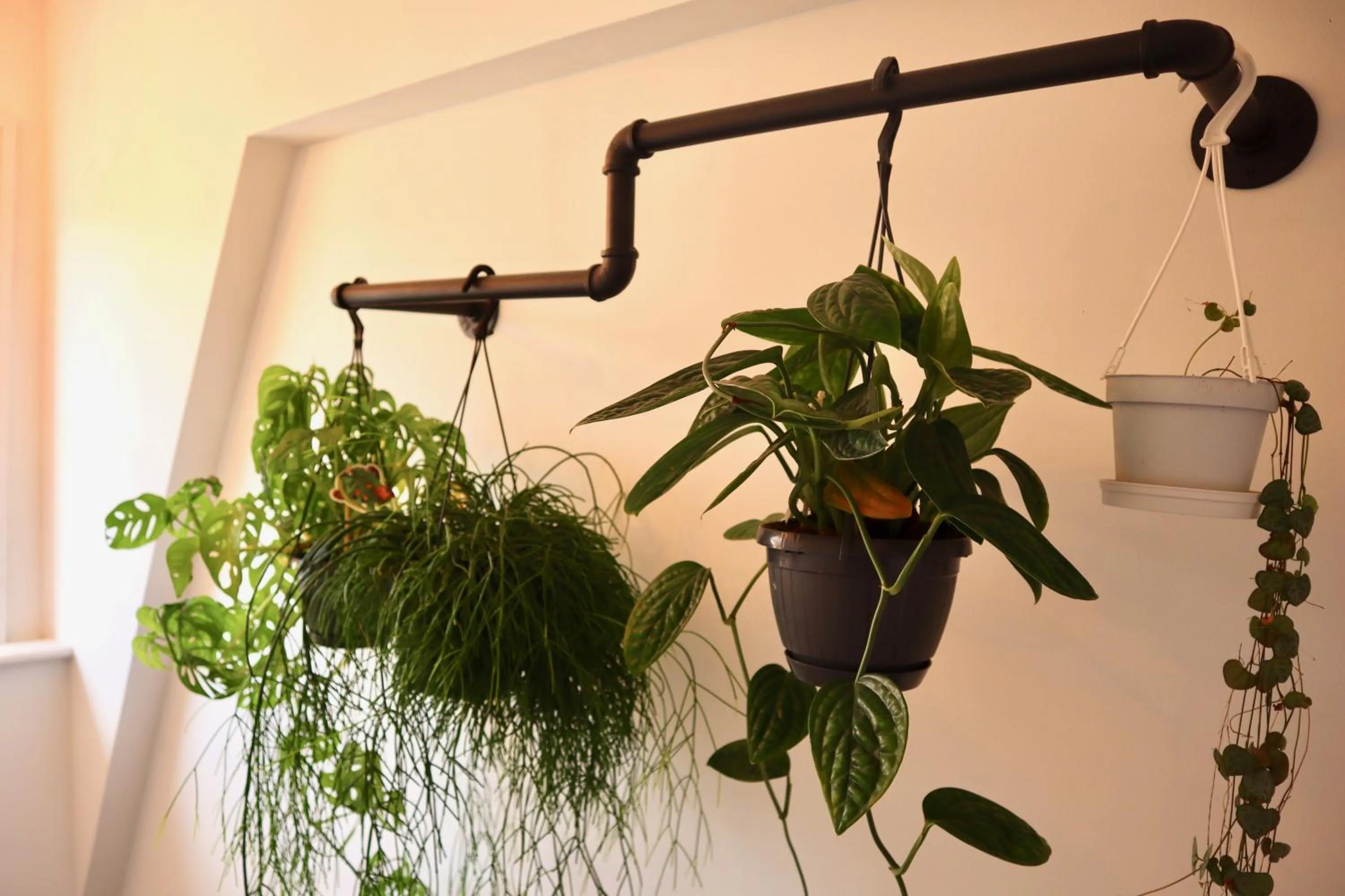 Decorative detail in Colson House