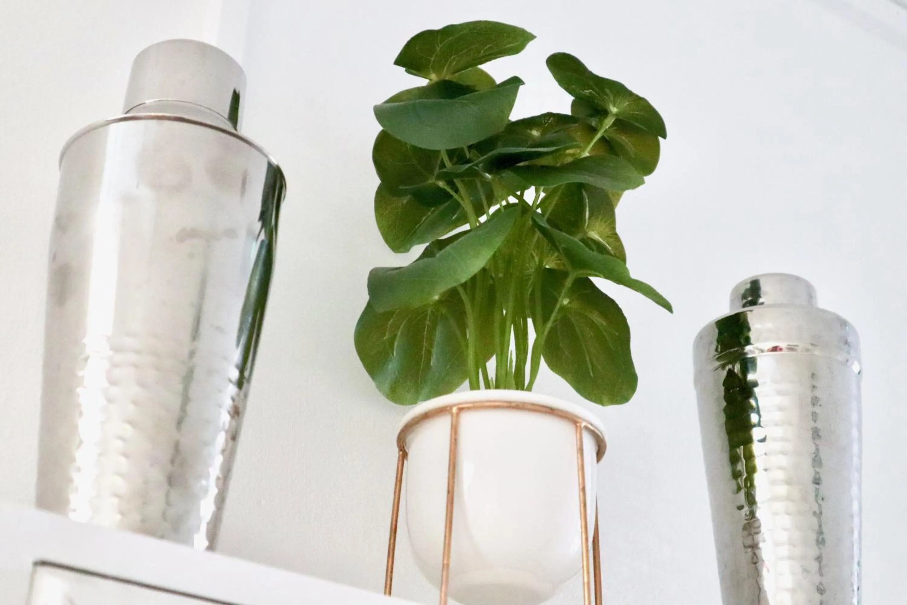 Decorative detail in Colson House