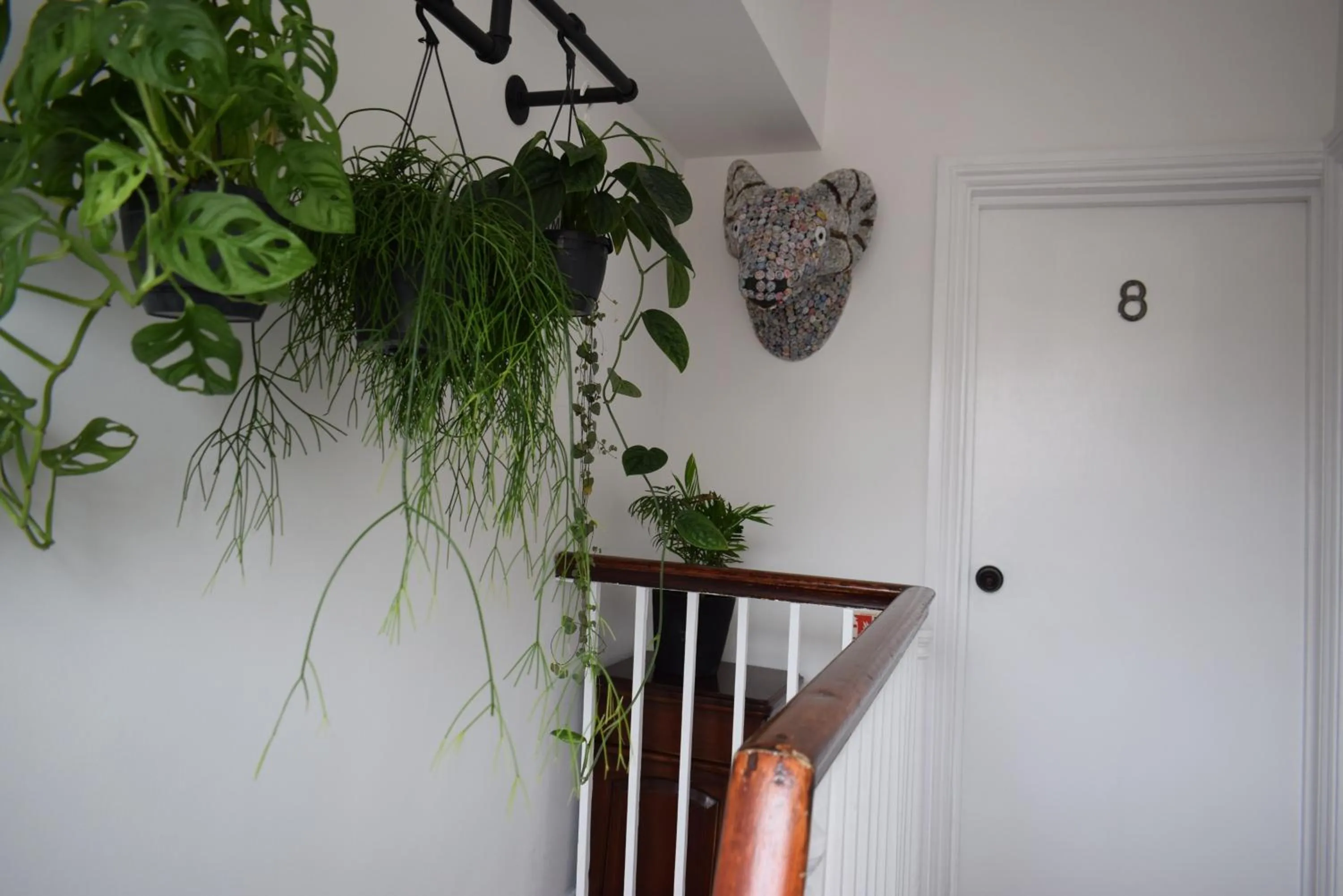 Property building in Colson House