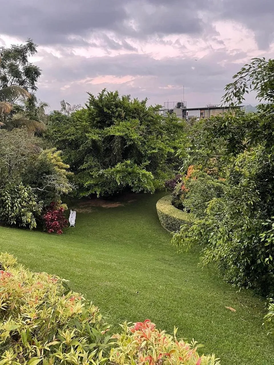 View (from property/room) in Castle Hill Bungalow by Seven Angels