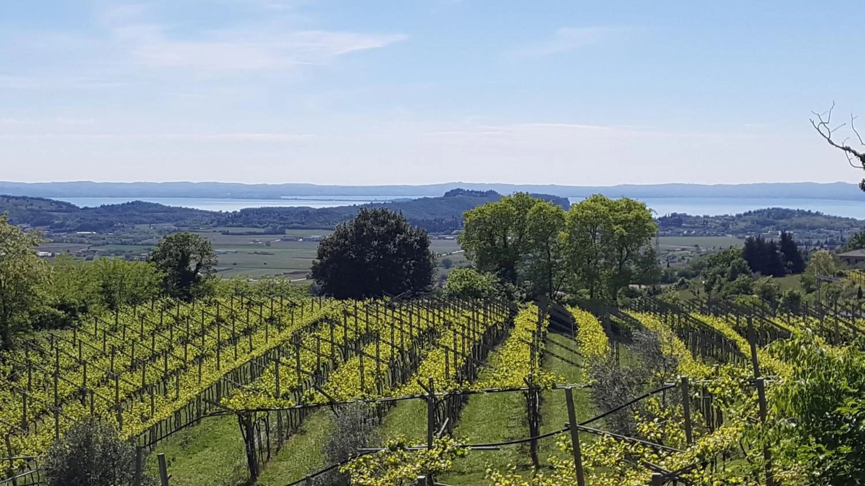 Nearby landmark in B&B POGGIO CAIAR
