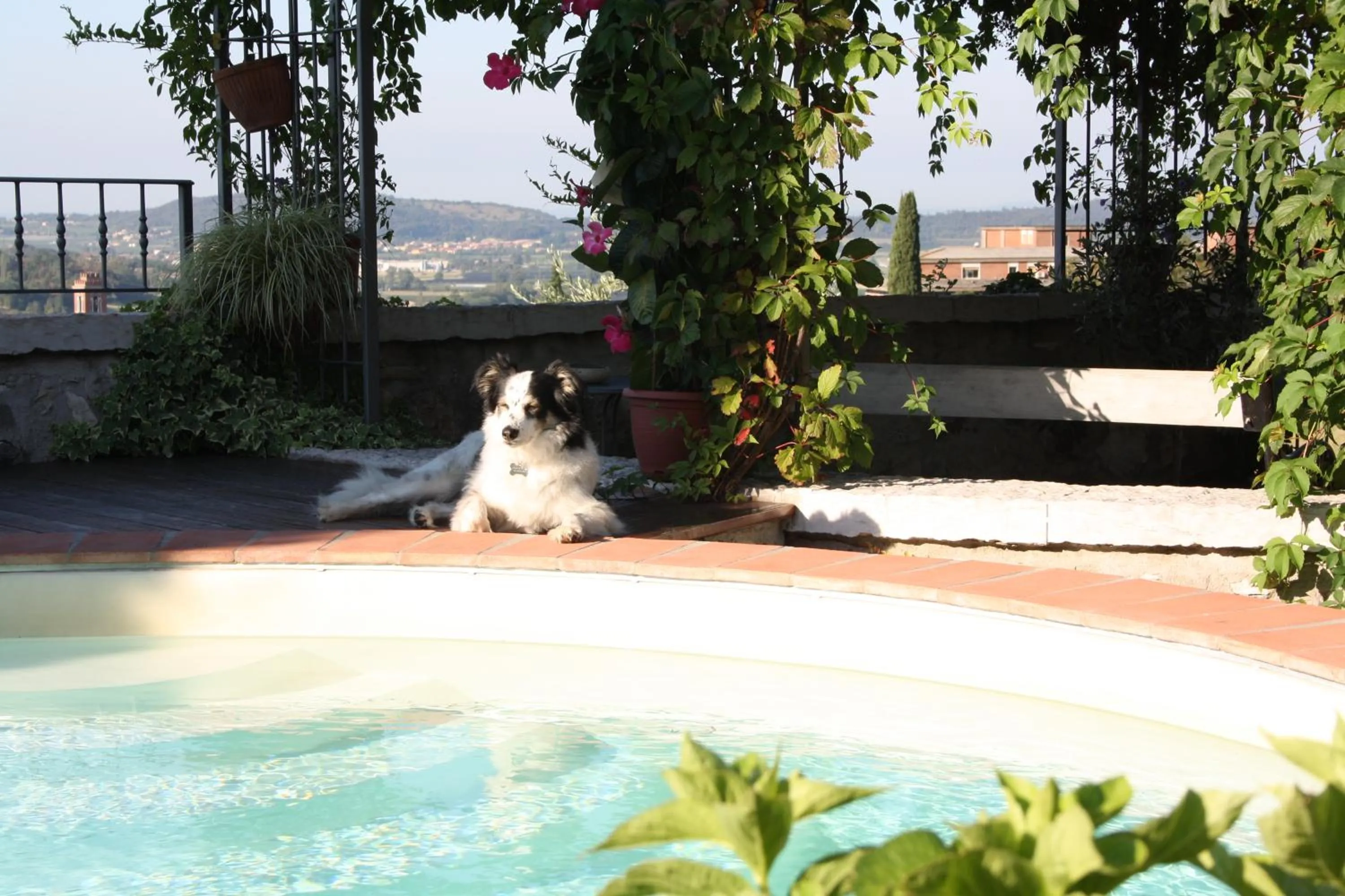 Day in B&B POGGIO CAIAR