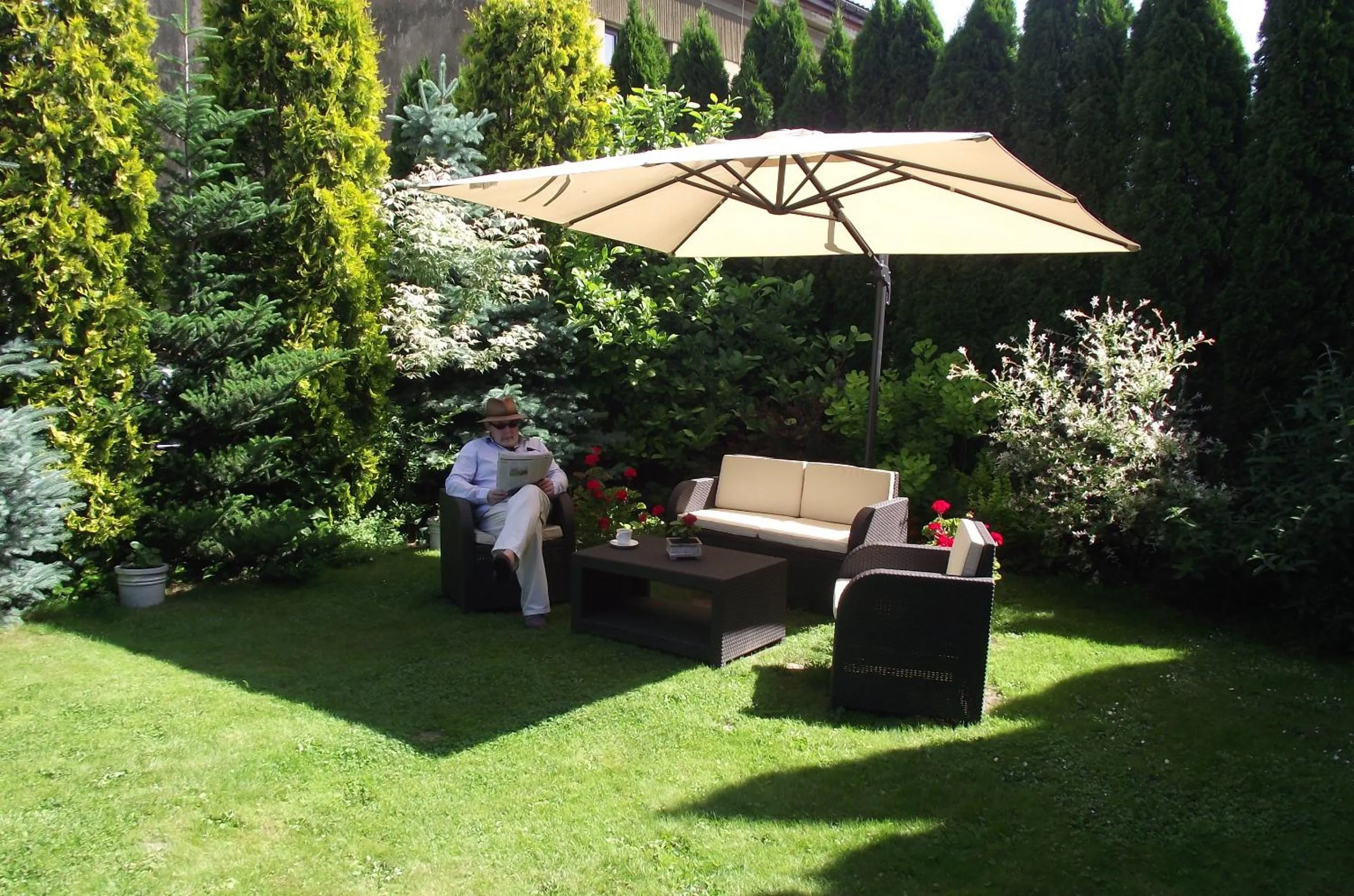 Garden in Villa Del Arte Bed & Breakfast