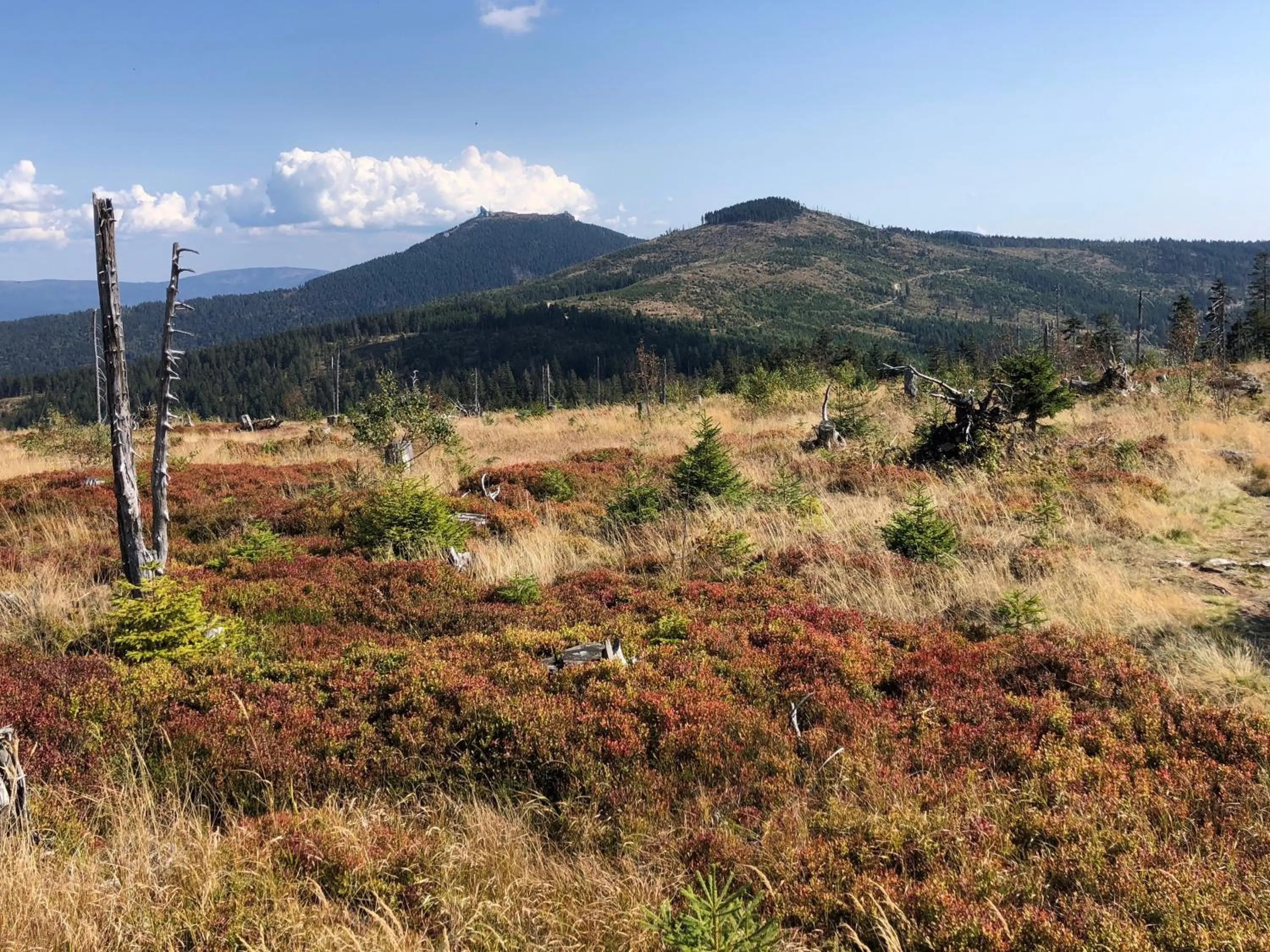 Hiking in Wellnesshotel Riedlberg