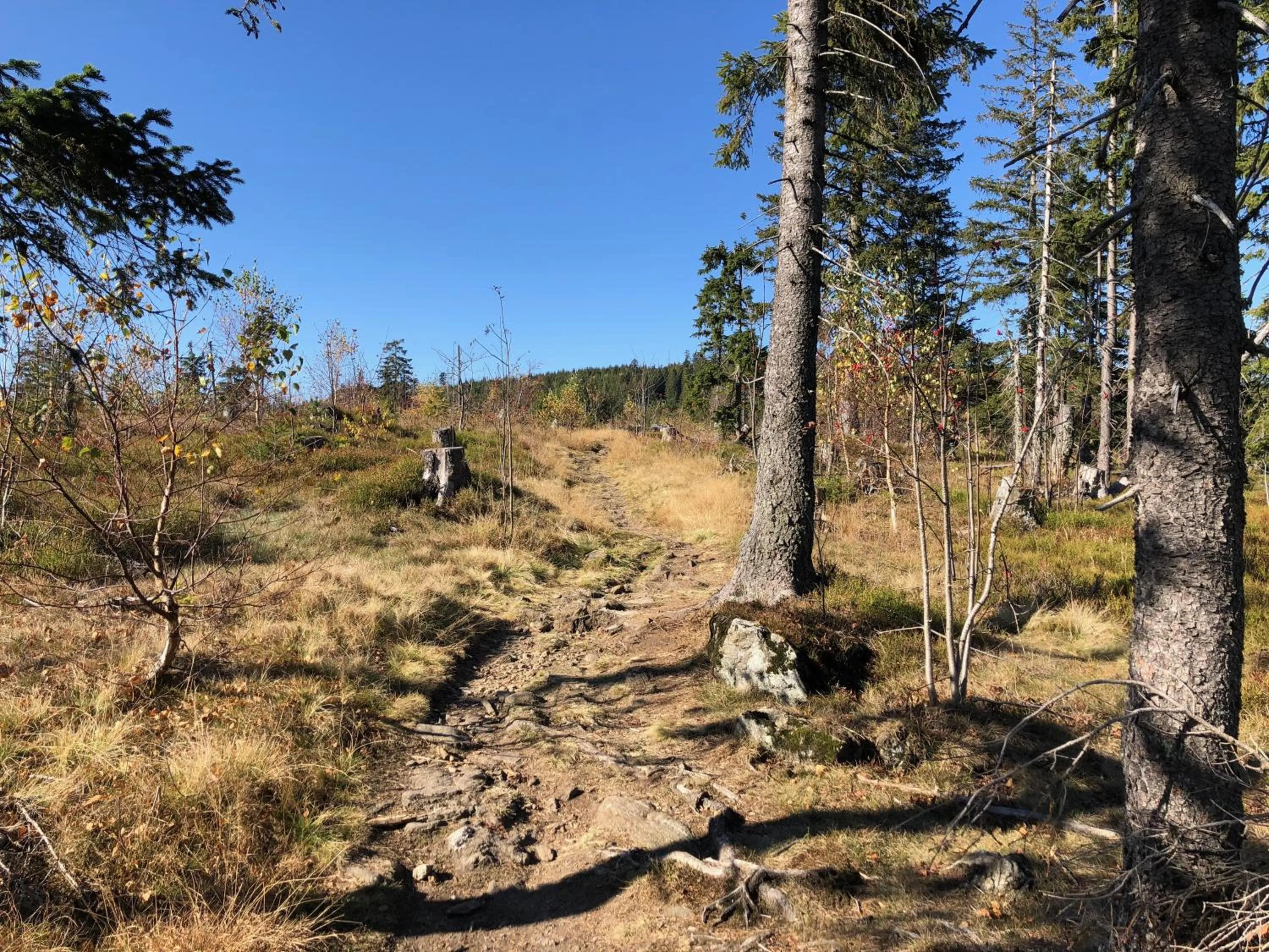 Hiking in Wellnesshotel Riedlberg