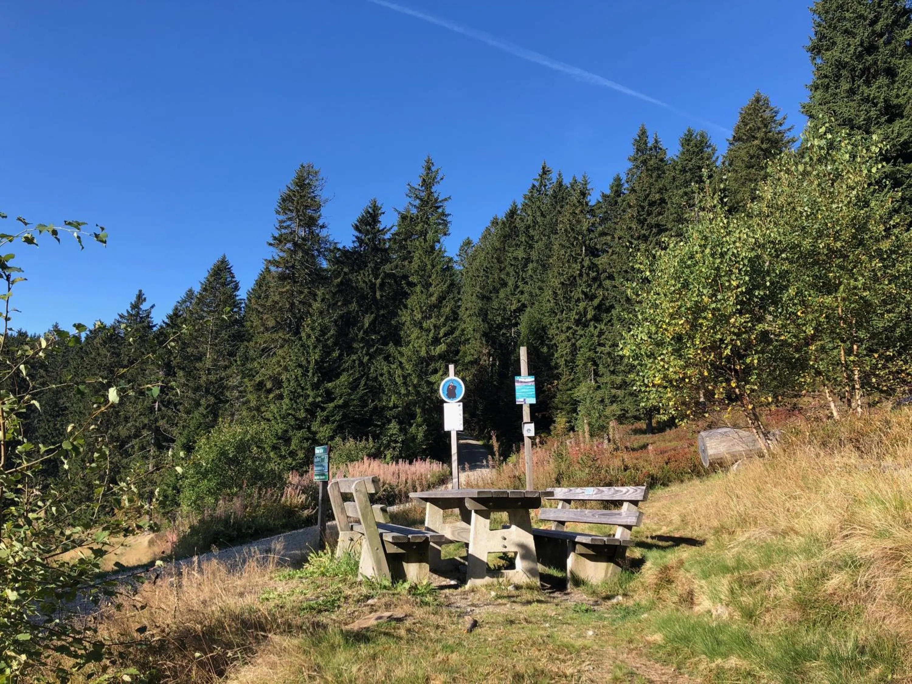 Hiking in Wellnesshotel Riedlberg