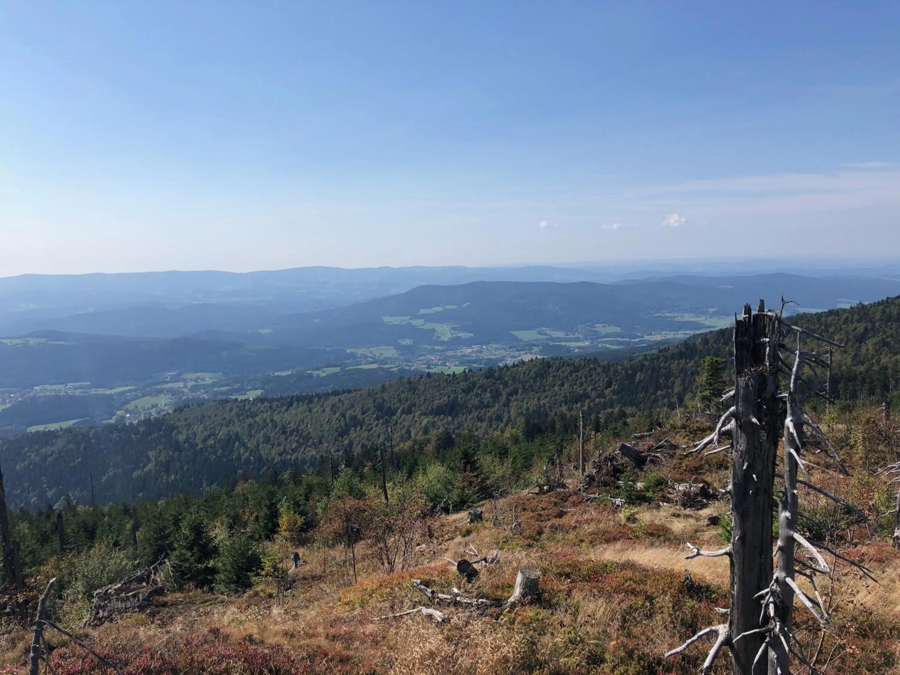 Hiking in Wellnesshotel Riedlberg