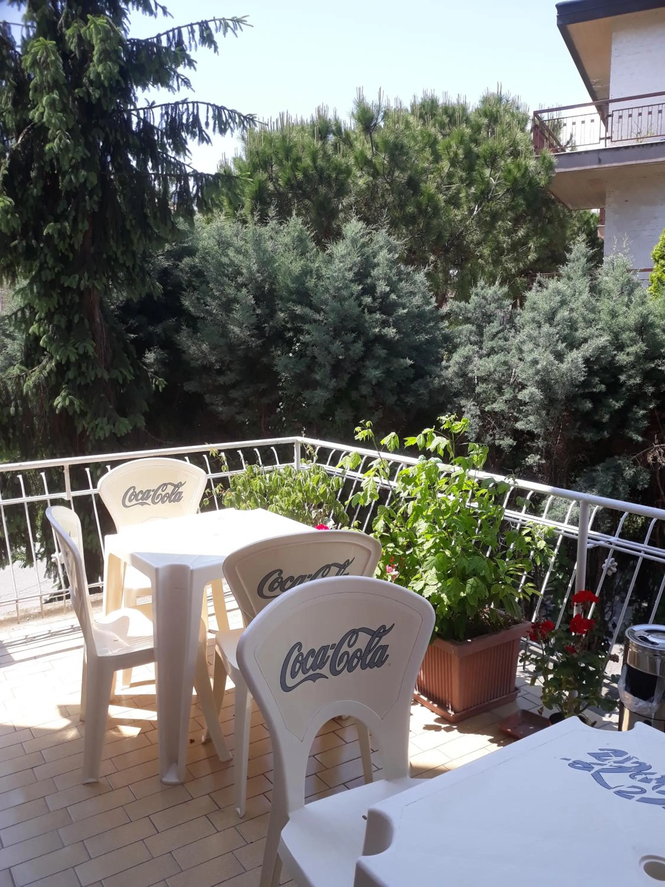 Garden in Venice Best Vacation