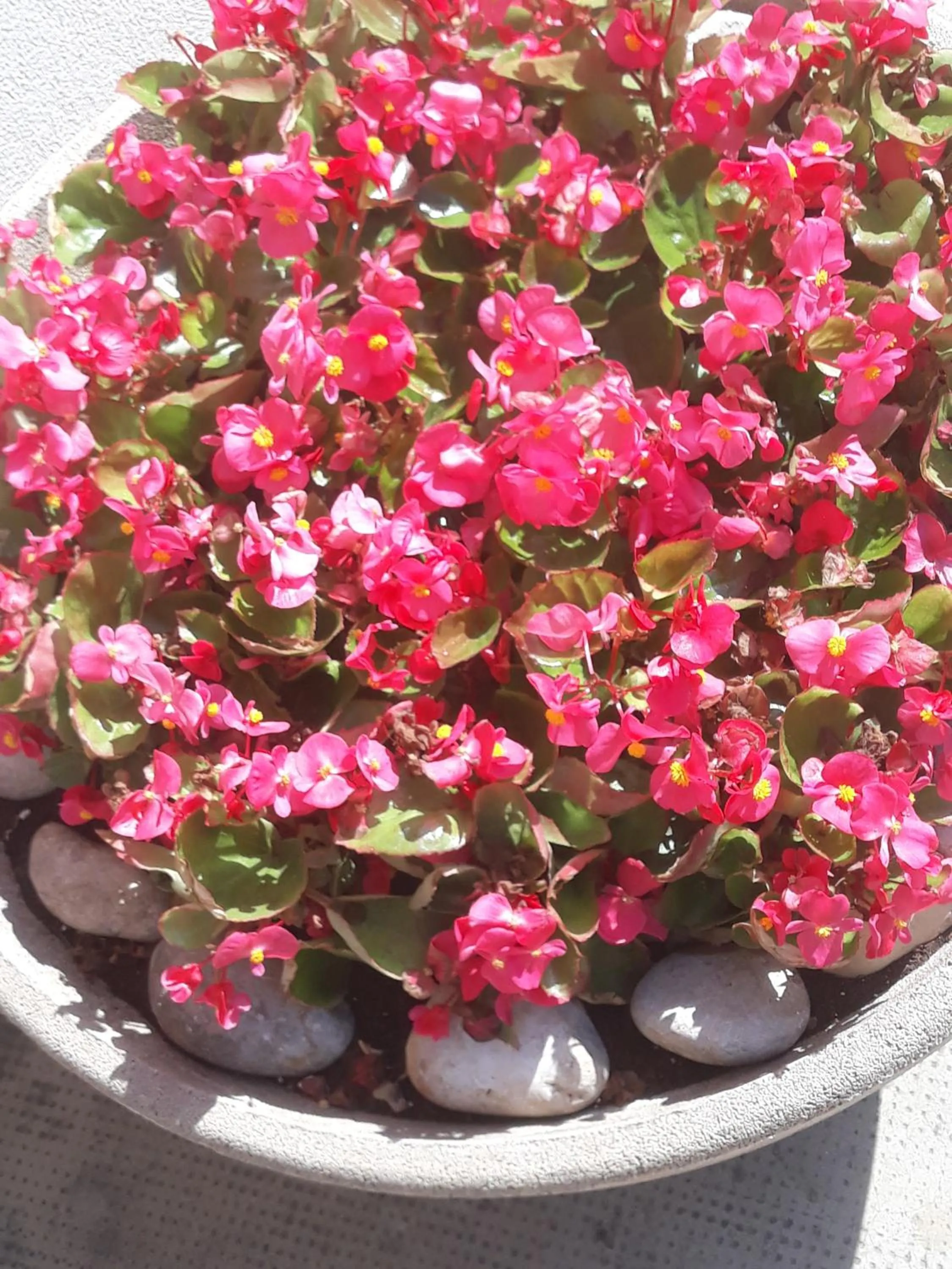 Facade/entrance in Venice Best Vacation