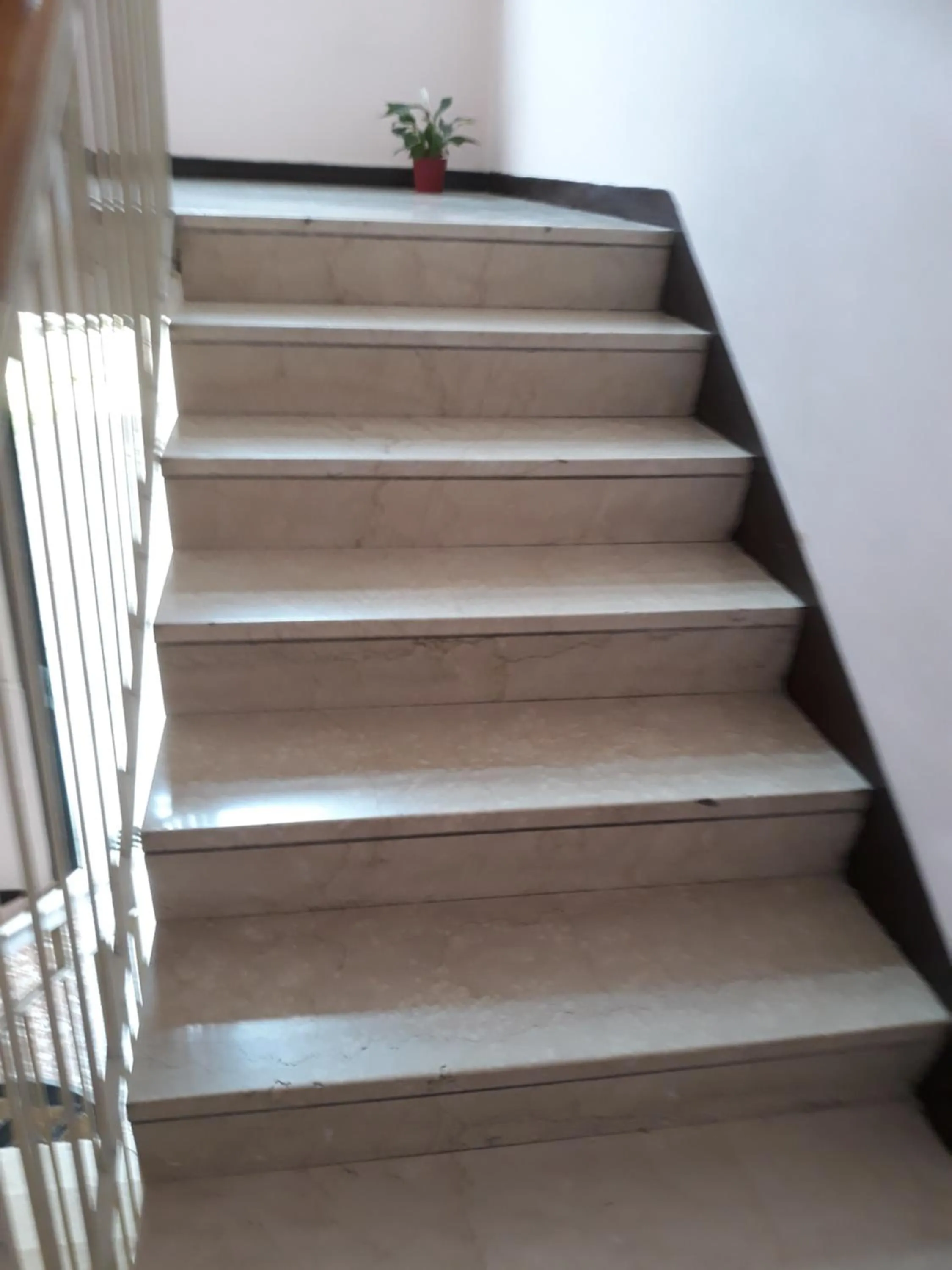 Other in Venice Best Vacation