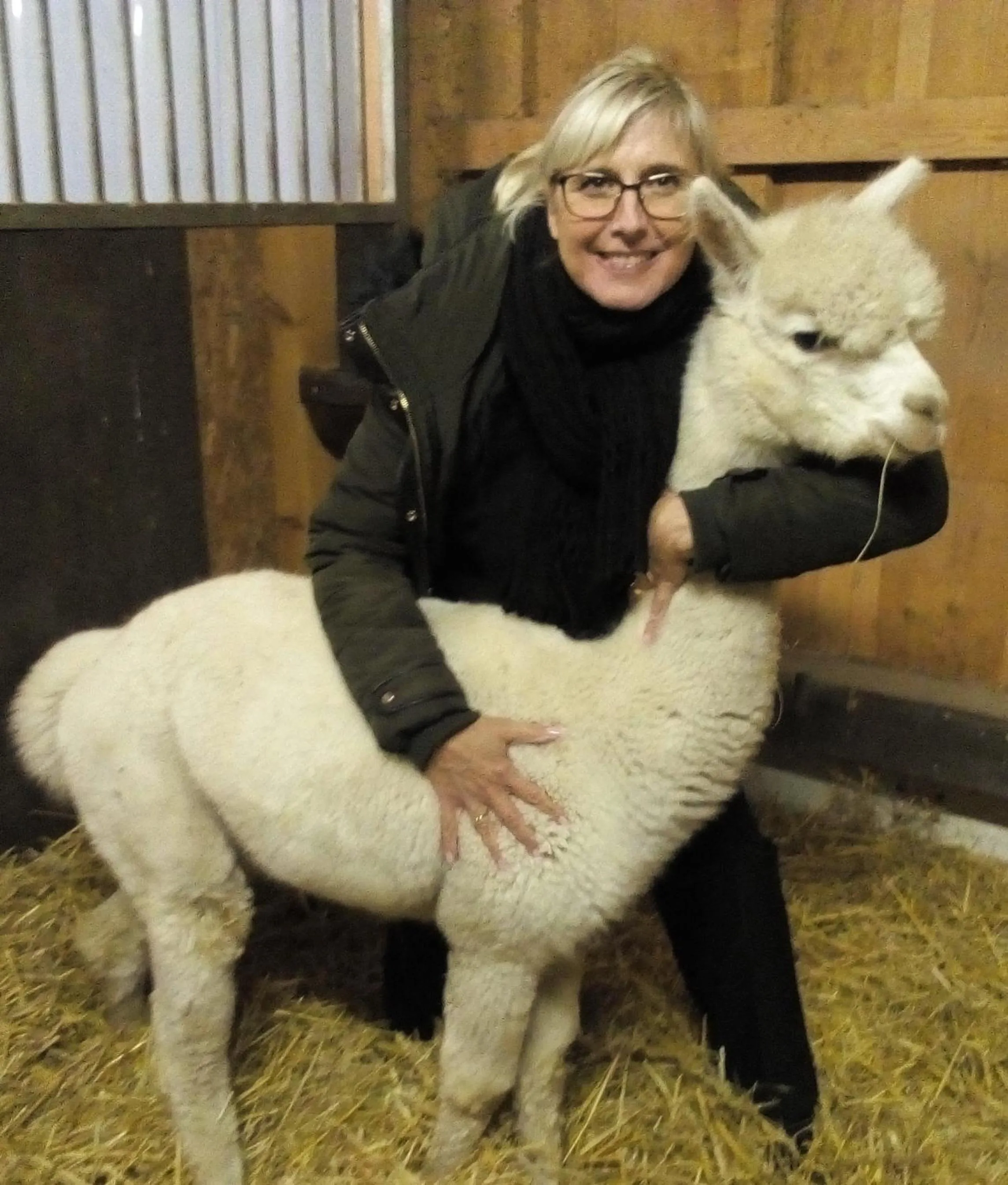 Pets in Ferienpark Templin direkt neben der Naturtherme