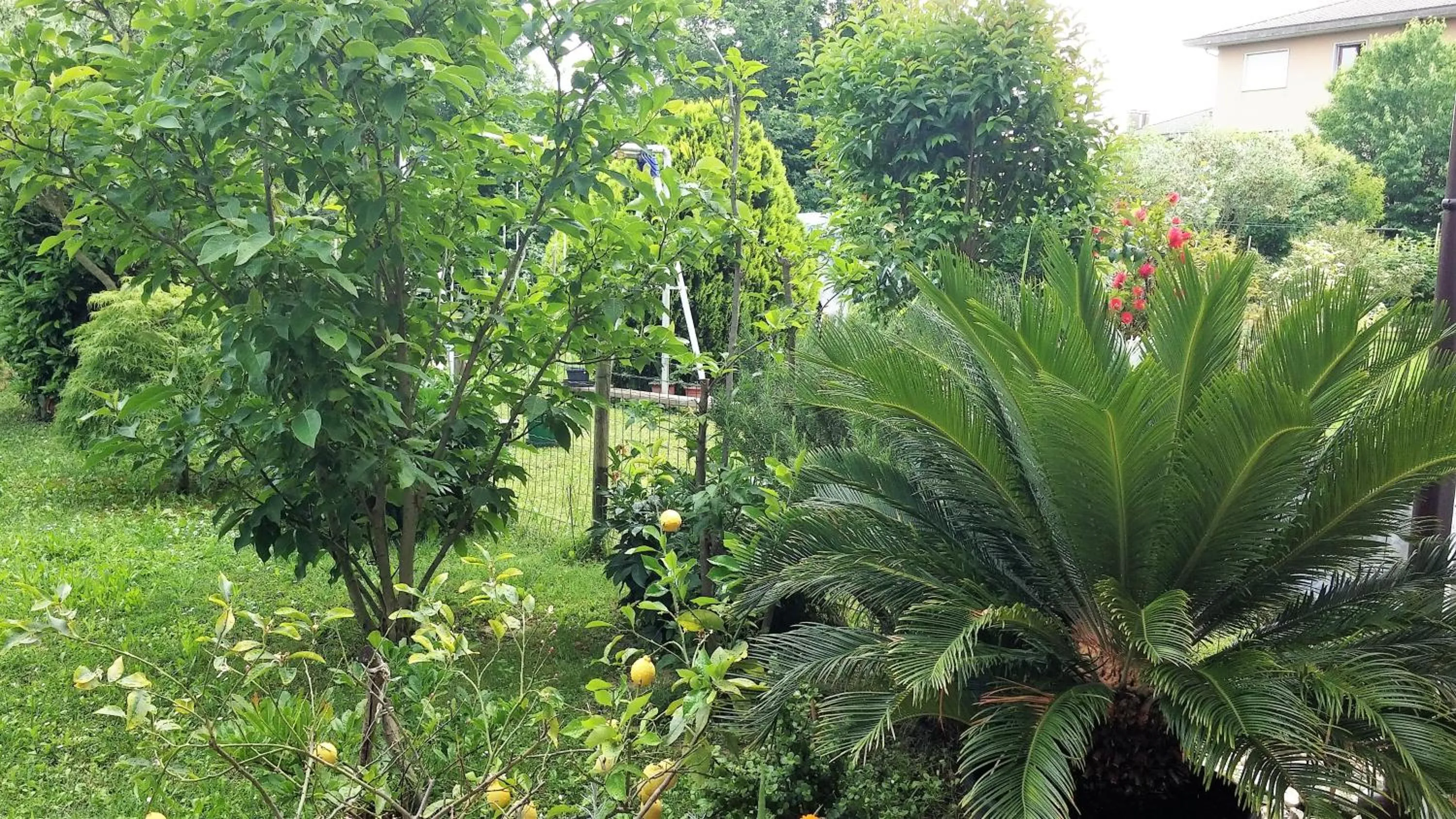 Facade/entrance in Venice Airport Room
