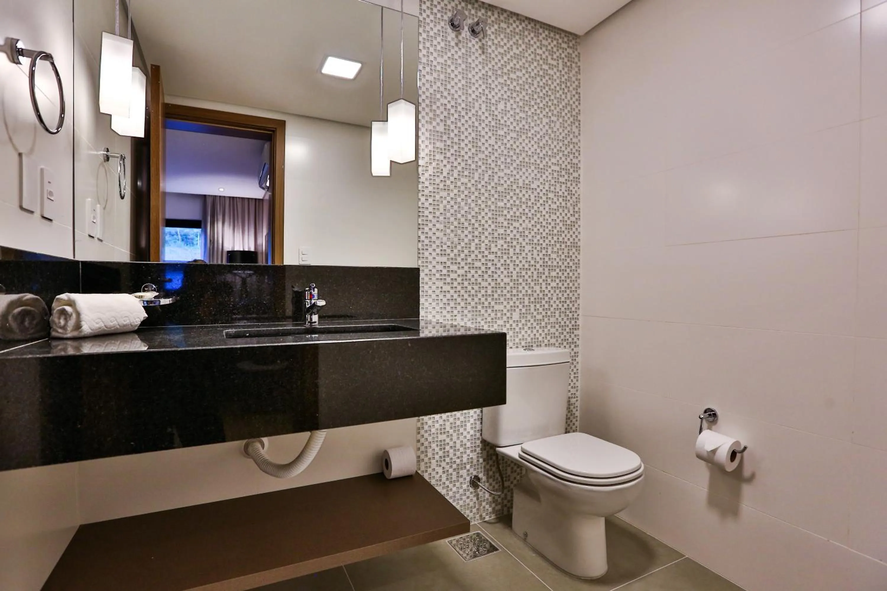 Toilet in Quality Hotel Blumenau