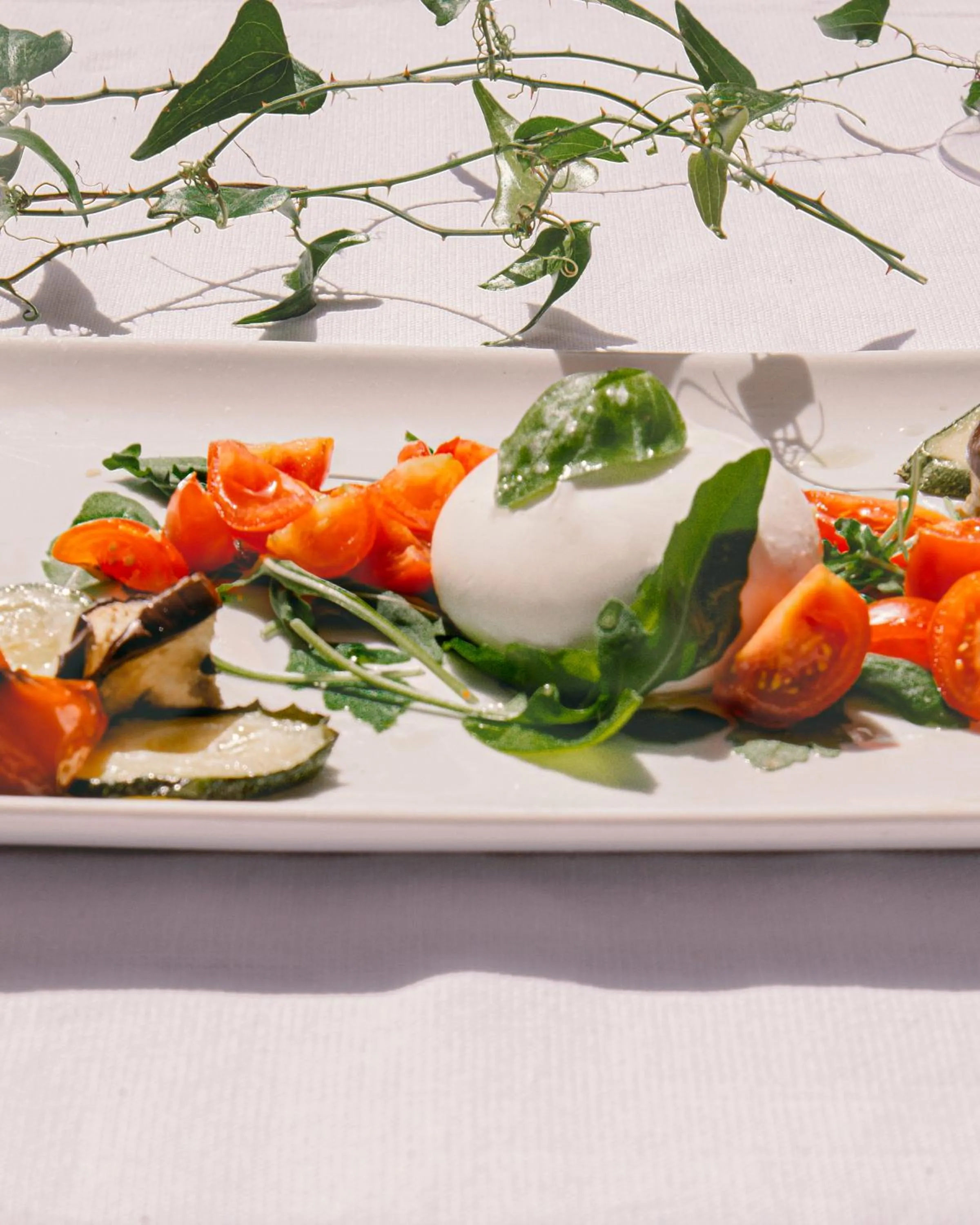 Food in Residence Altair - Serra degli Alimini