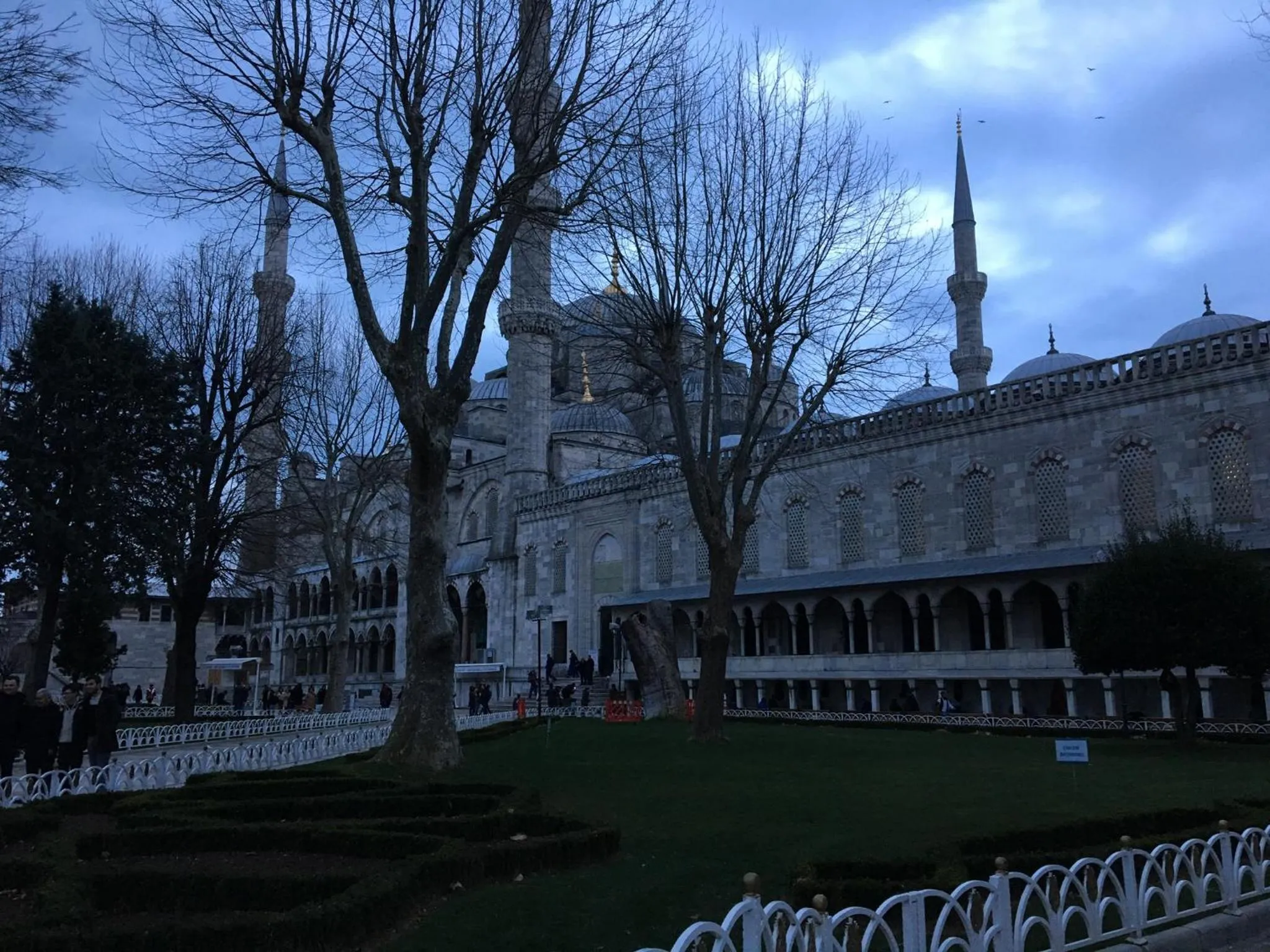 Area and facilities in Omega Inn