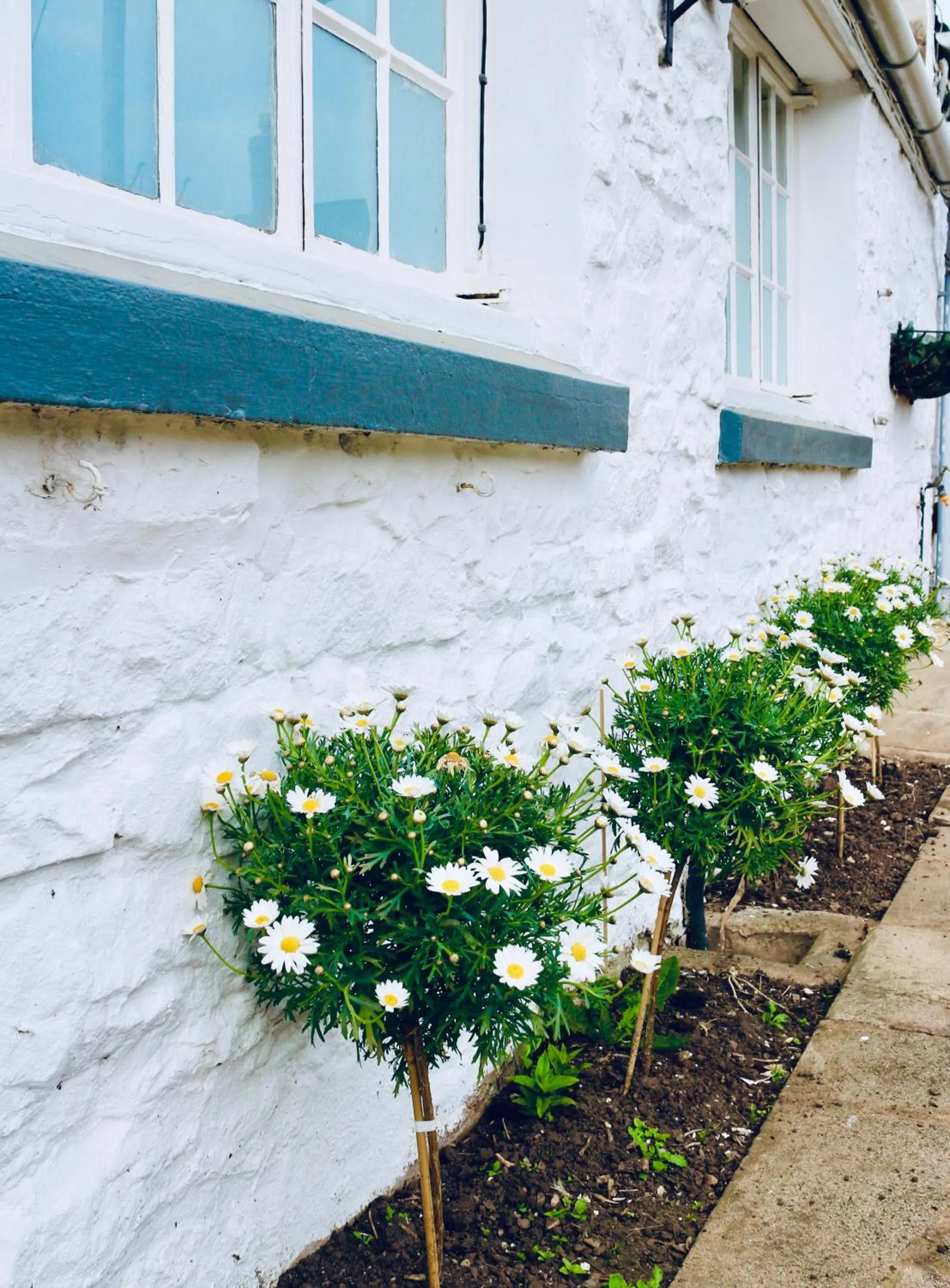 Garden in The Hostelrie at Goodrich