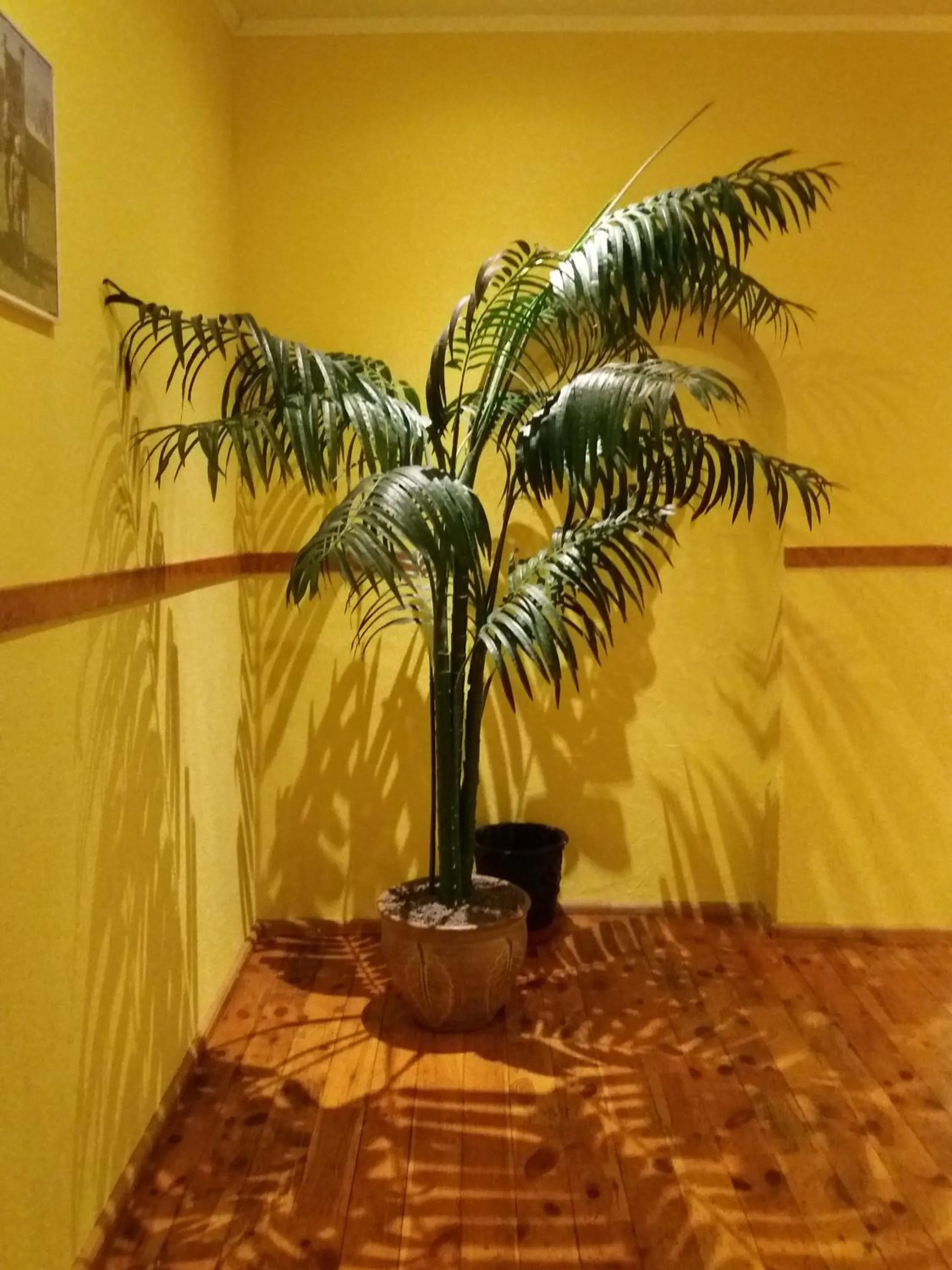 Other in Hotel Erfolg