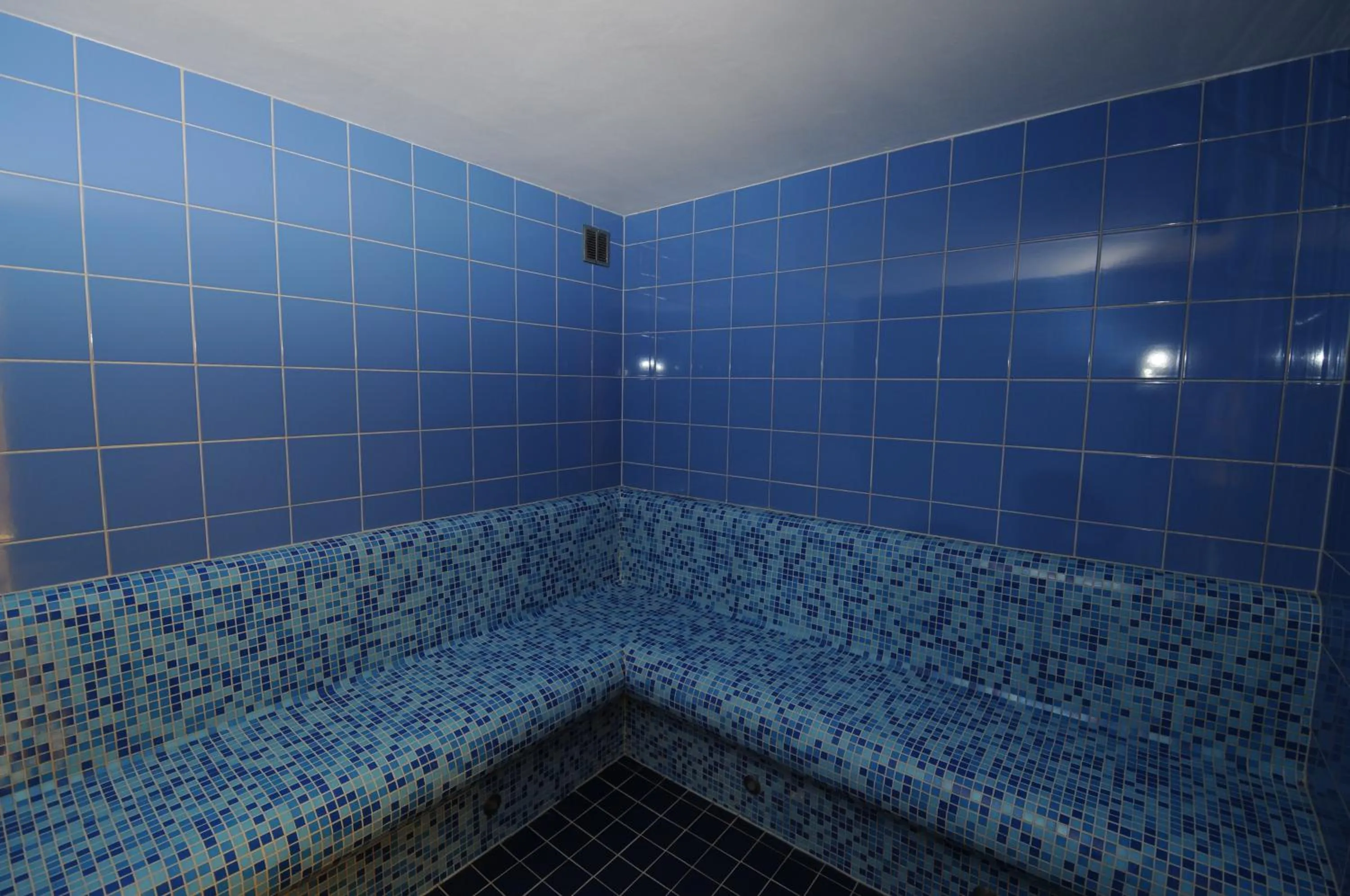 Sauna in Wellness Resort Energetic