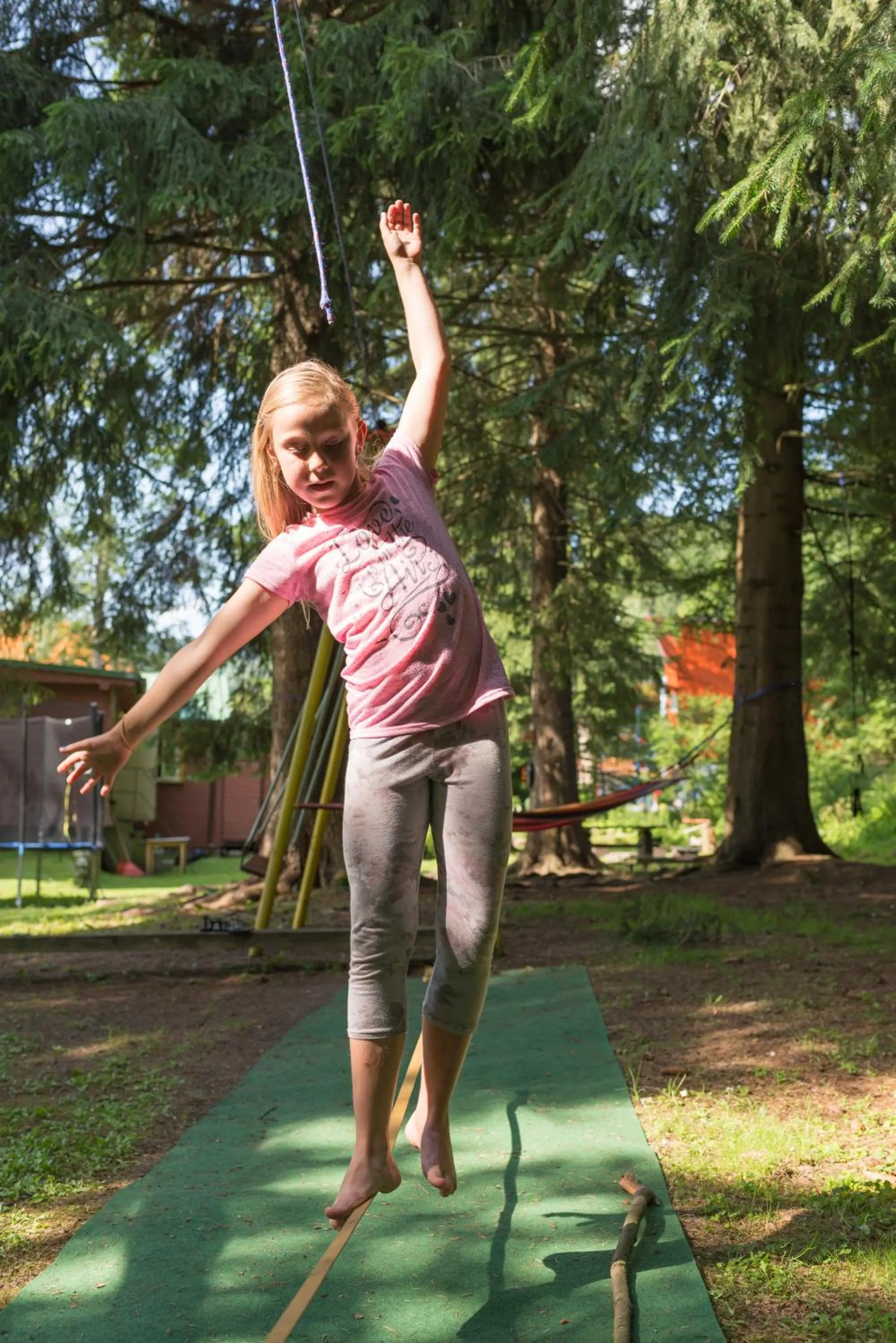 Area and facilities in Hotel Diana