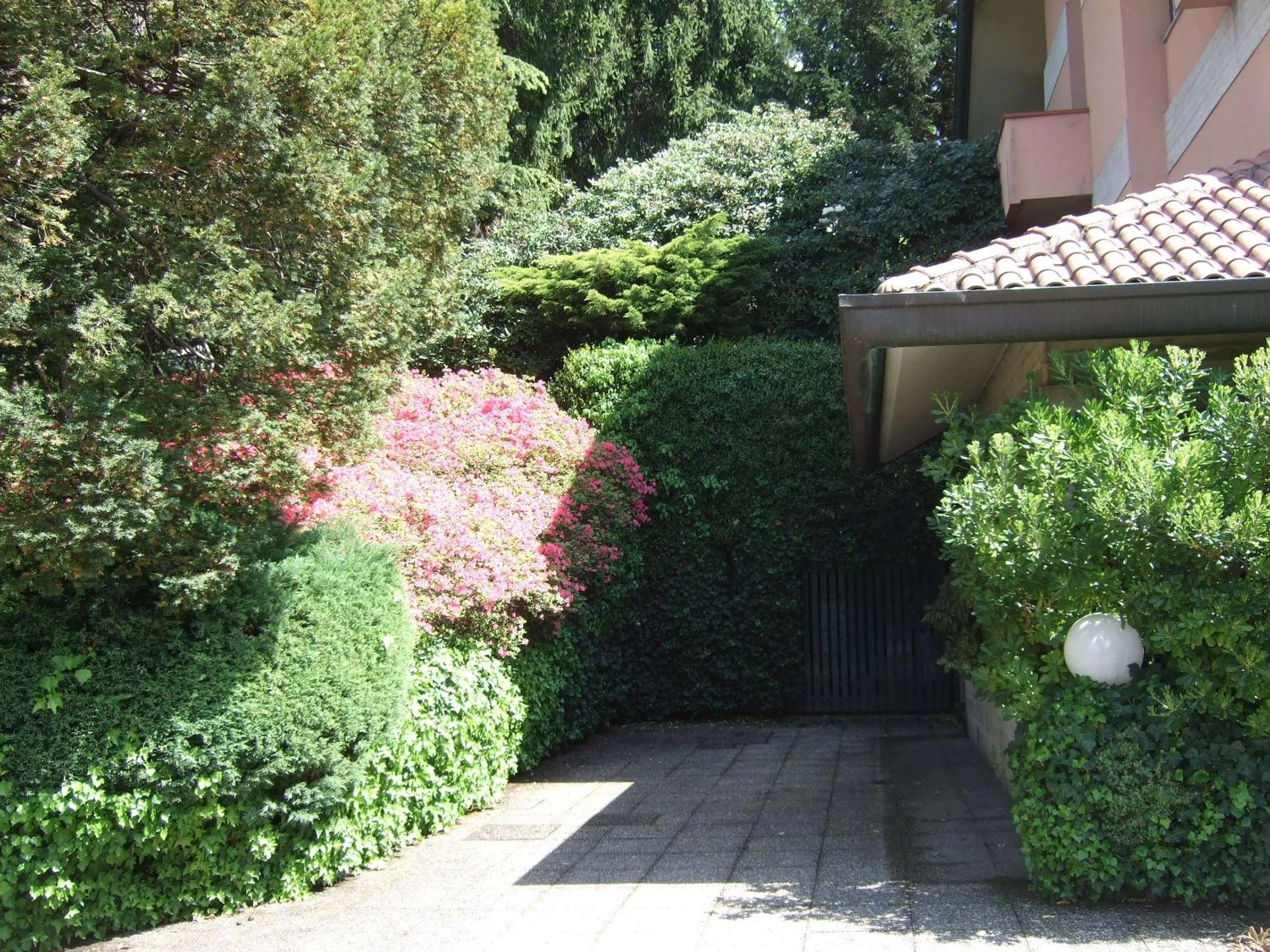 Day in Hotel Canturio