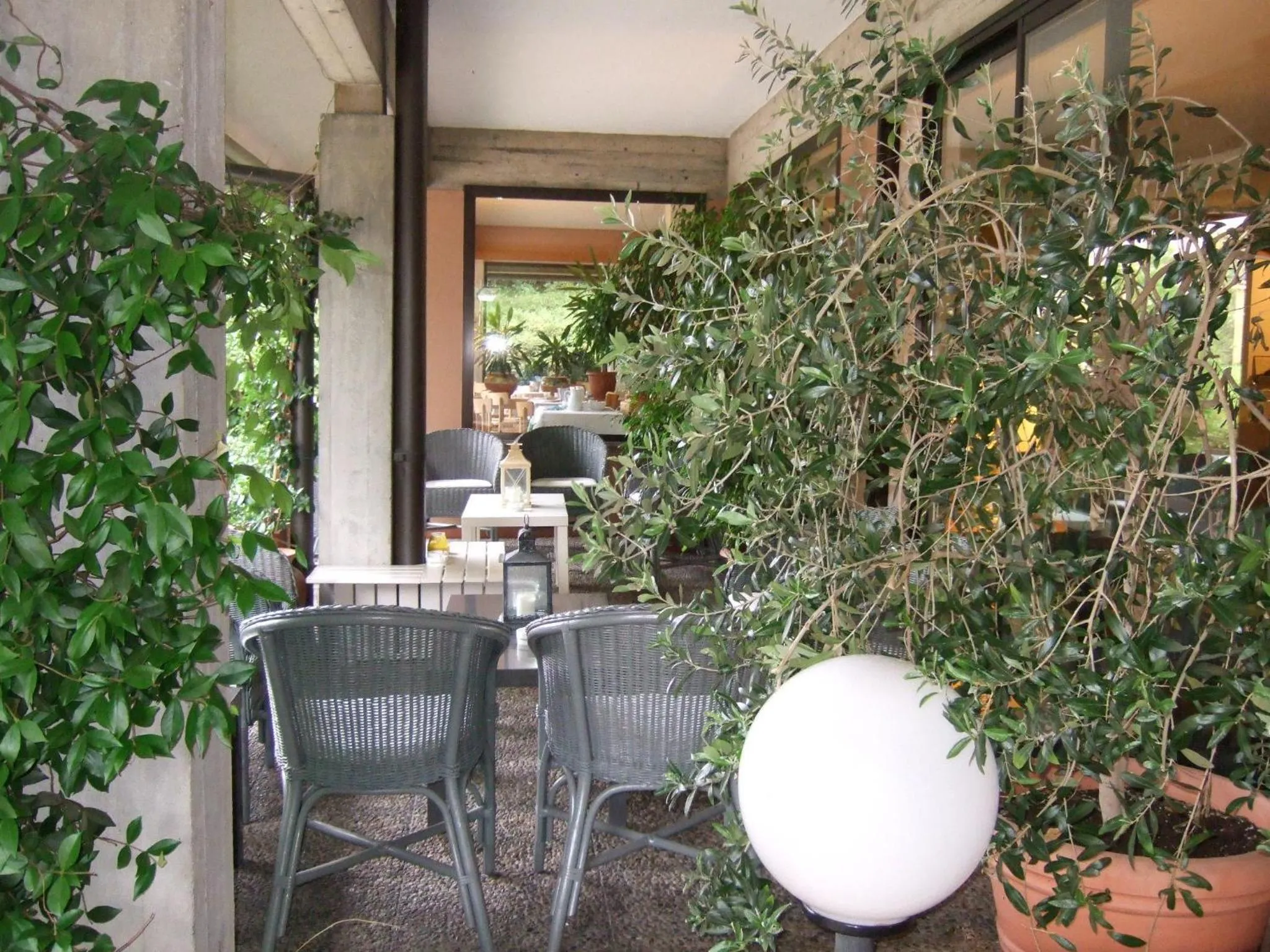 Patio in Hotel Canturio