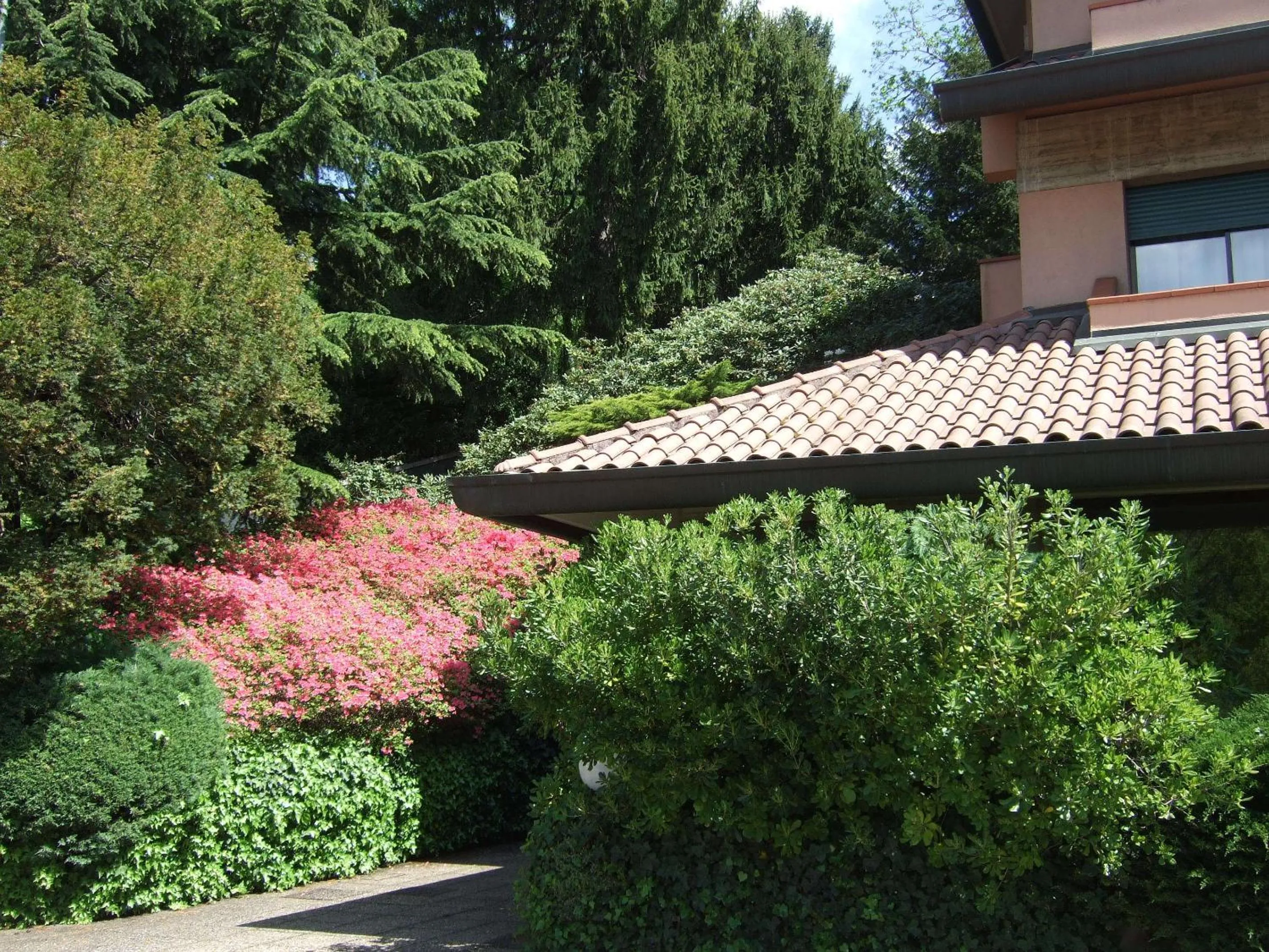 Day in Hotel Canturio