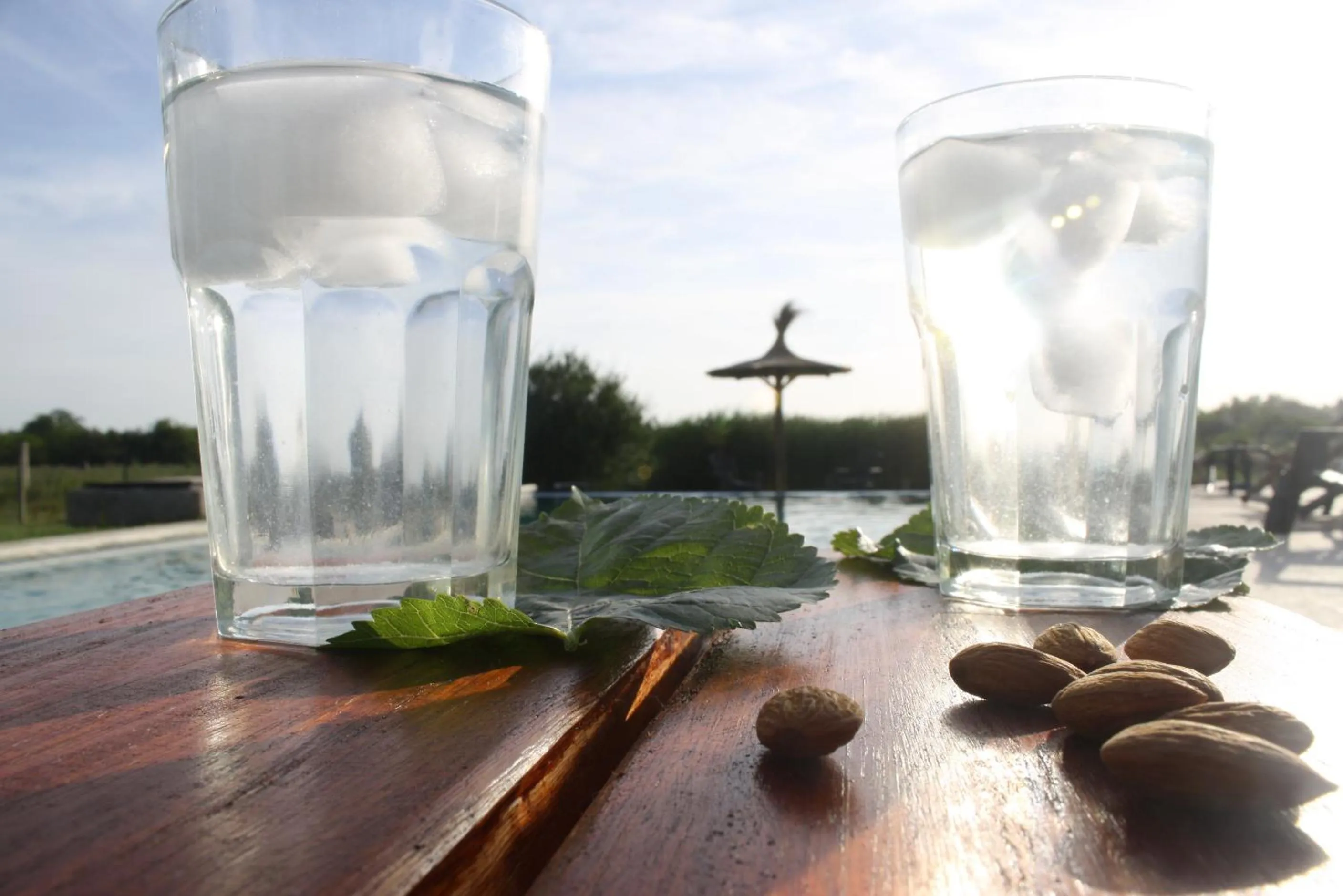 Swimming pool in Bungalows Mexico