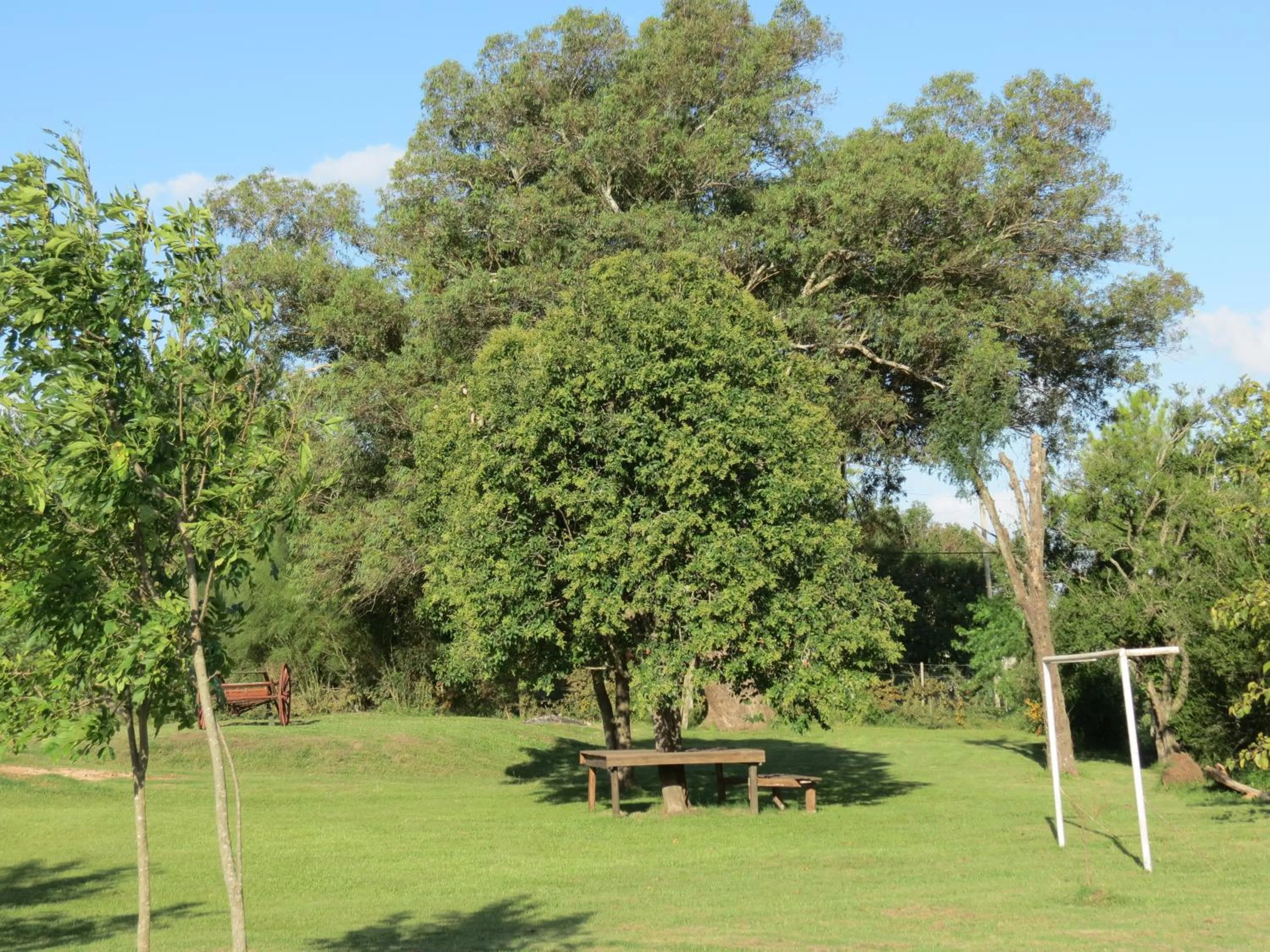Garden in Bungalows Mexico