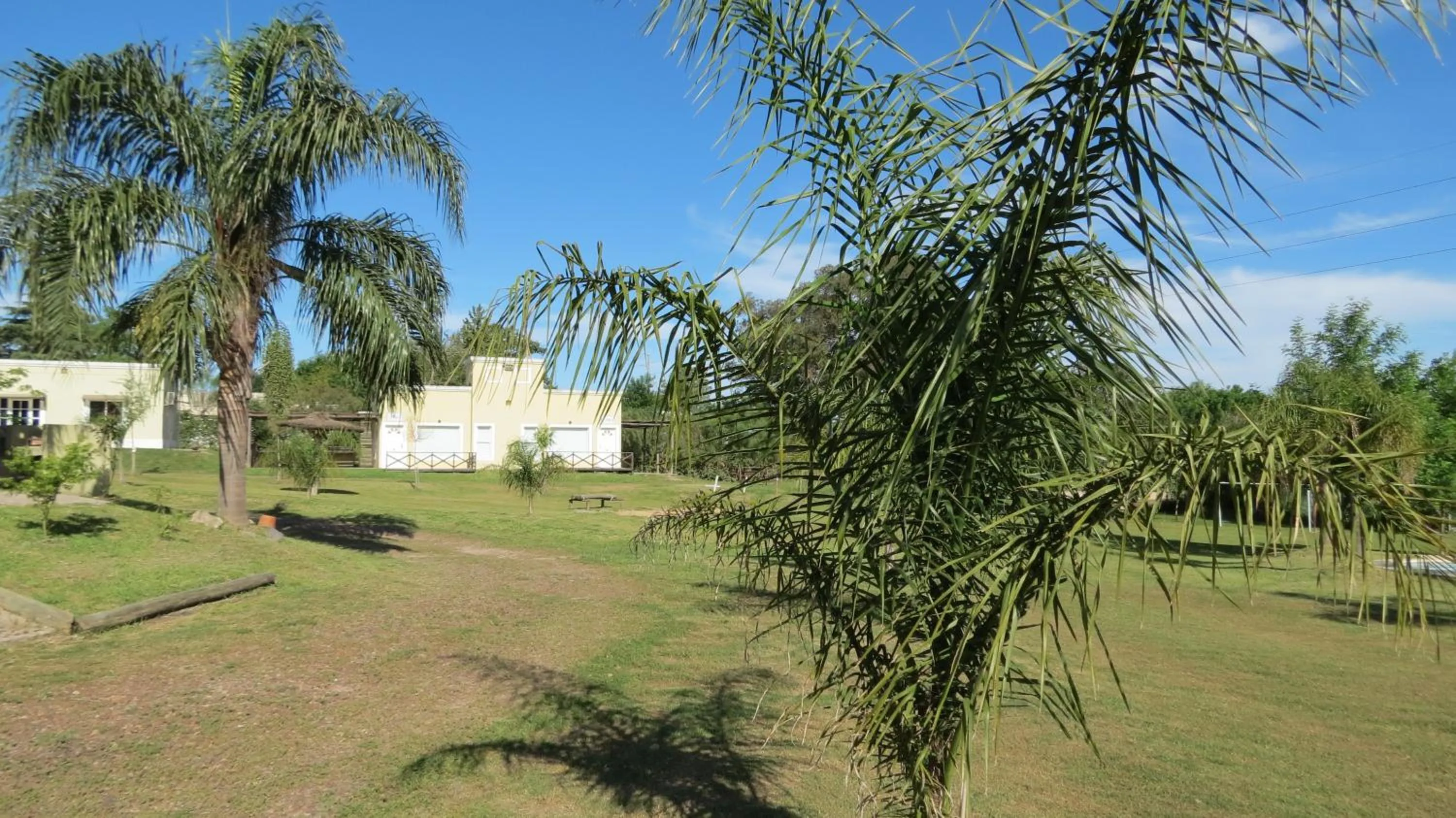 Garden in Bungalows Mexico