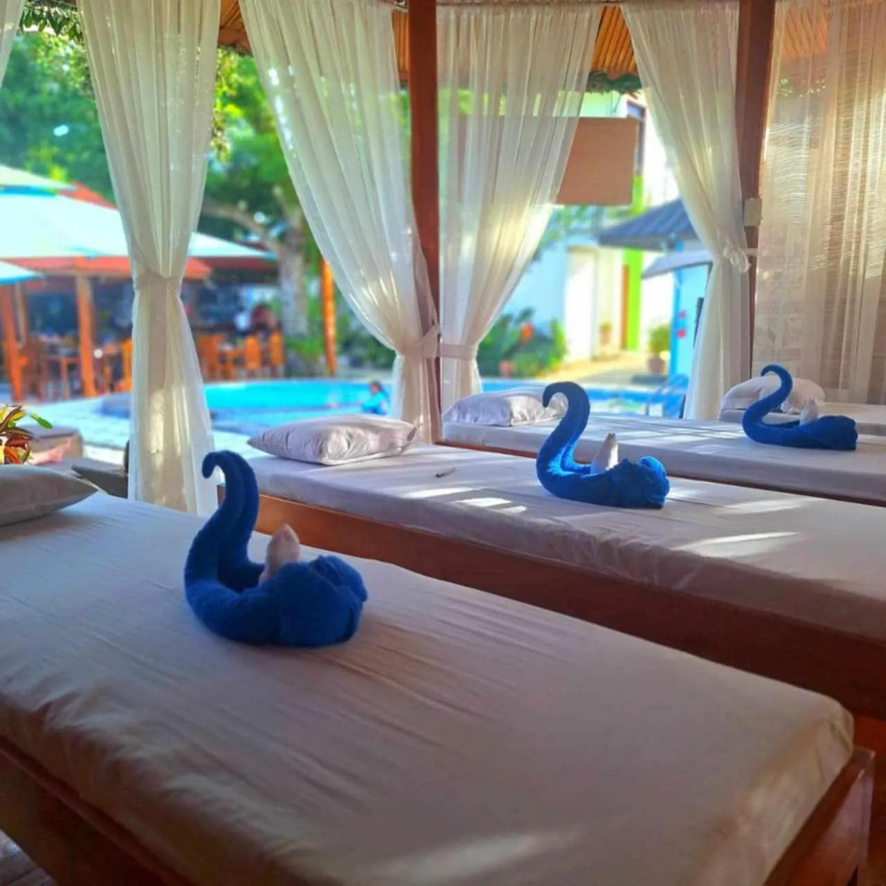 Activities, Bed in Hotel Oasis Port Barton