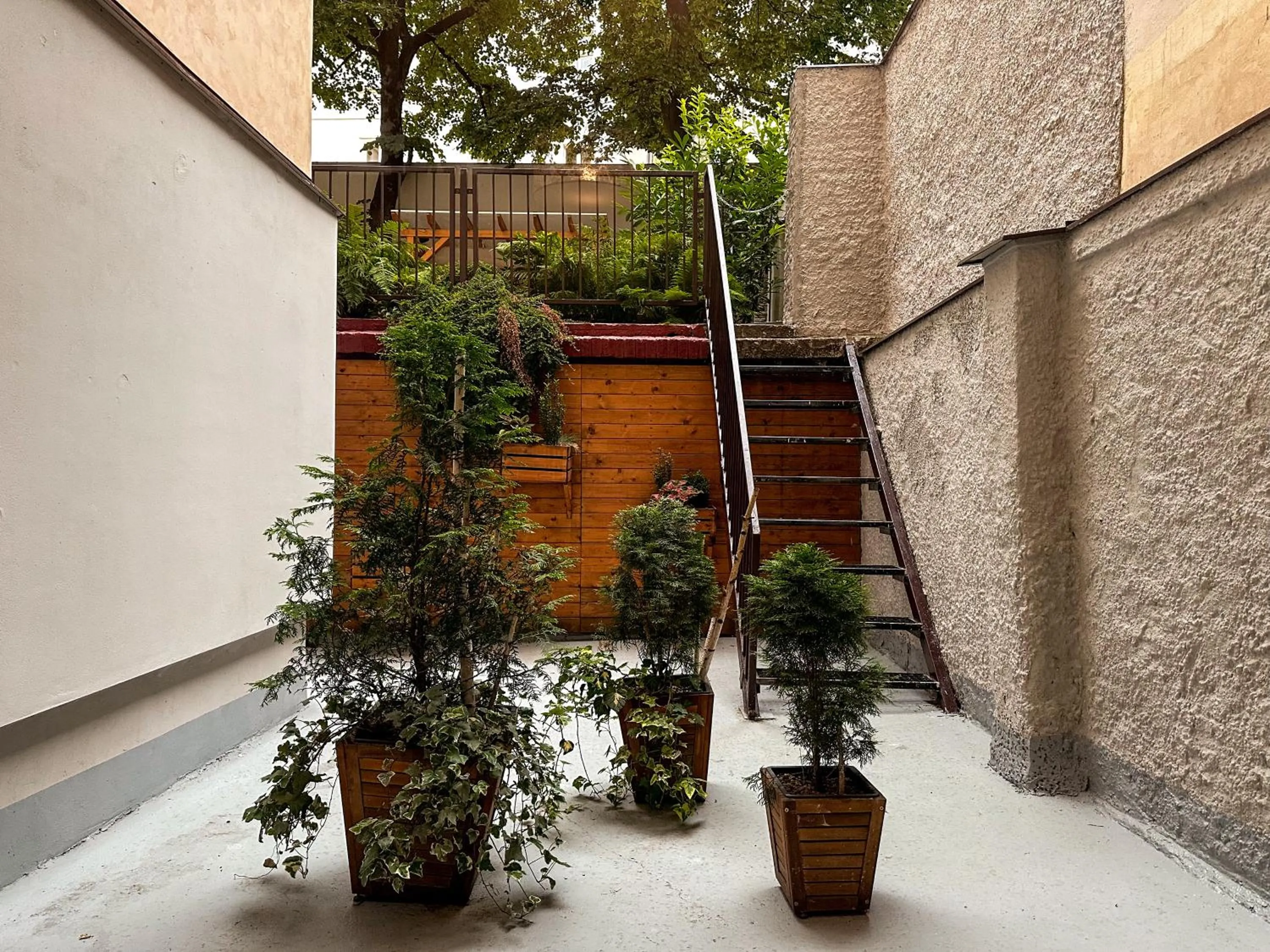 Patio in Alfons Boutique Hotel