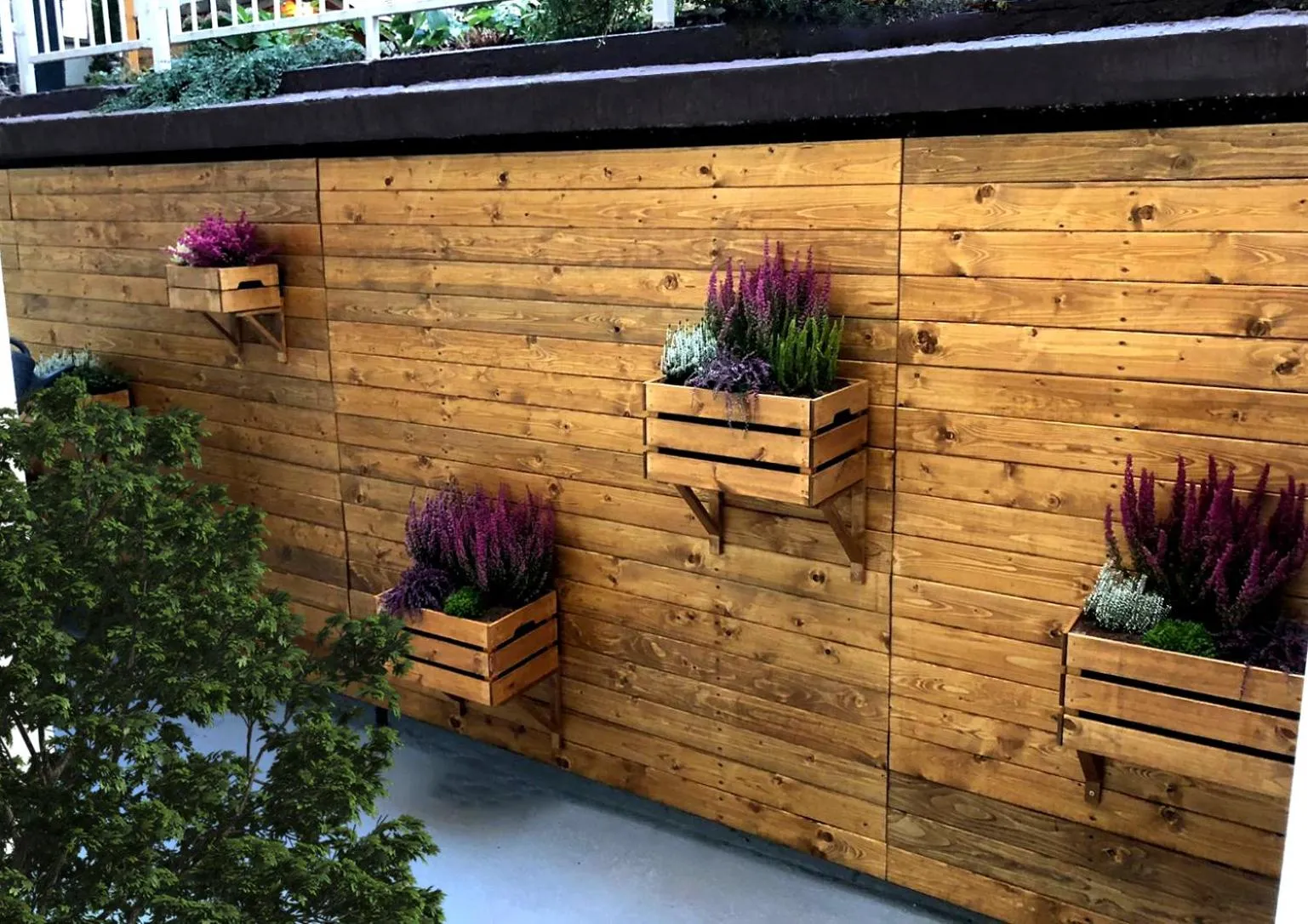 Patio in Alfons Boutique Hotel