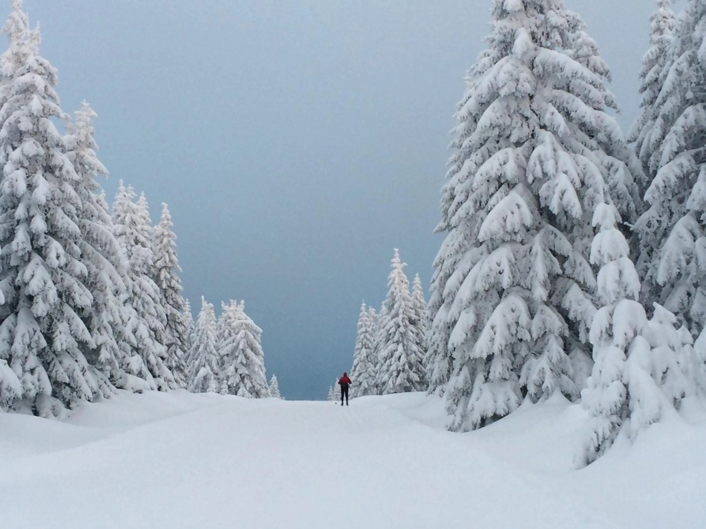 Neighbourhood in Hotel Biathlon Sport & Spa