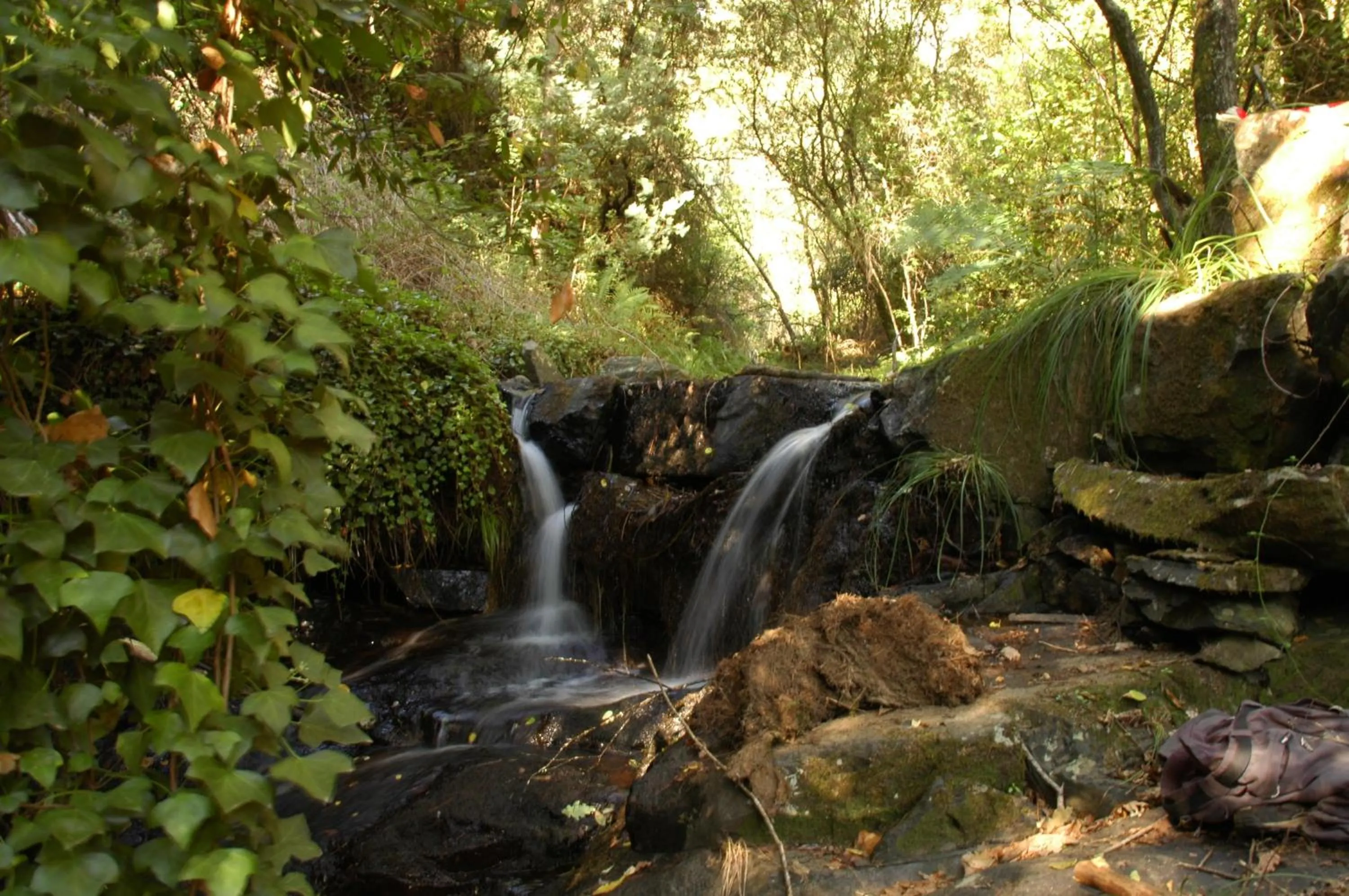 Natural landscape in Hotel Rota Malhoa