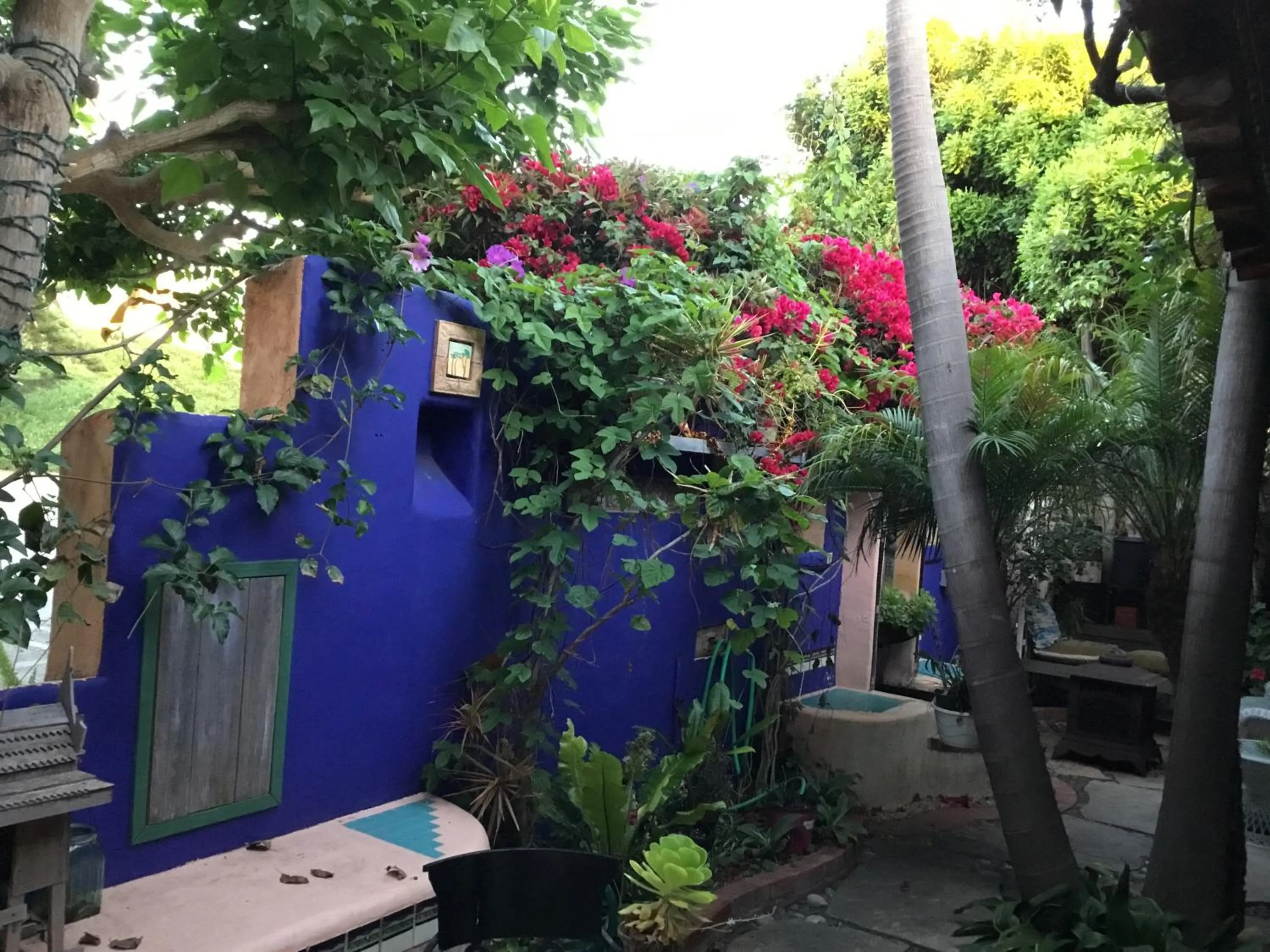 Garden view in Les Artistes Inn