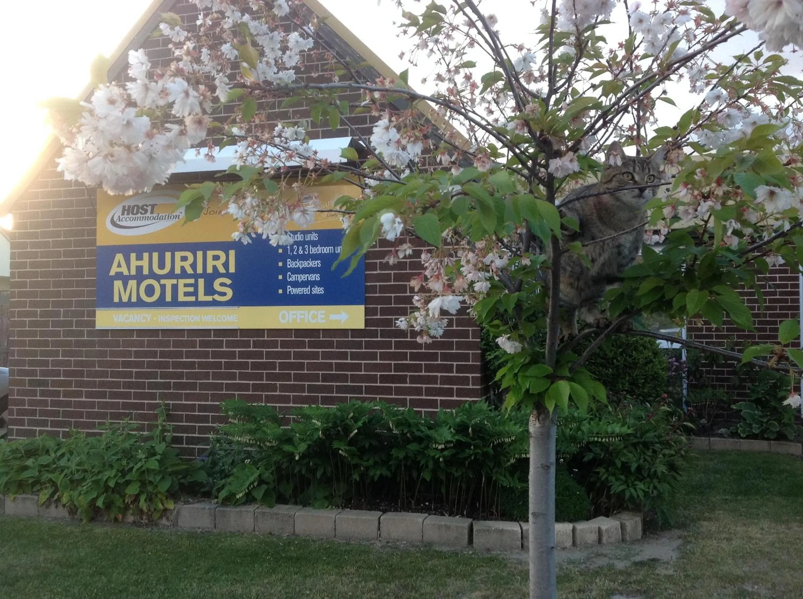 Property logo or sign in Ahuriri Motels