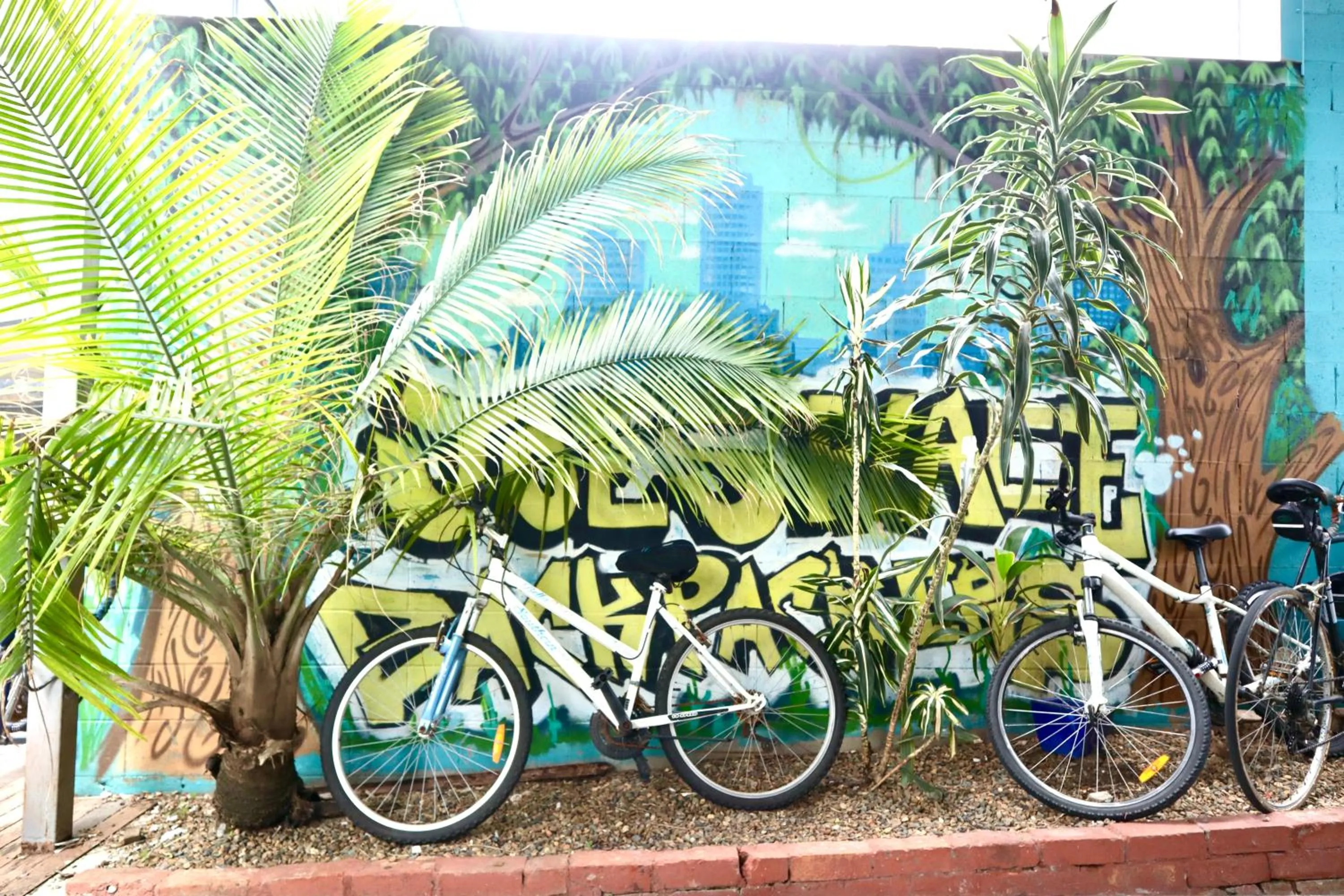 Parking in City Backpackers HQ