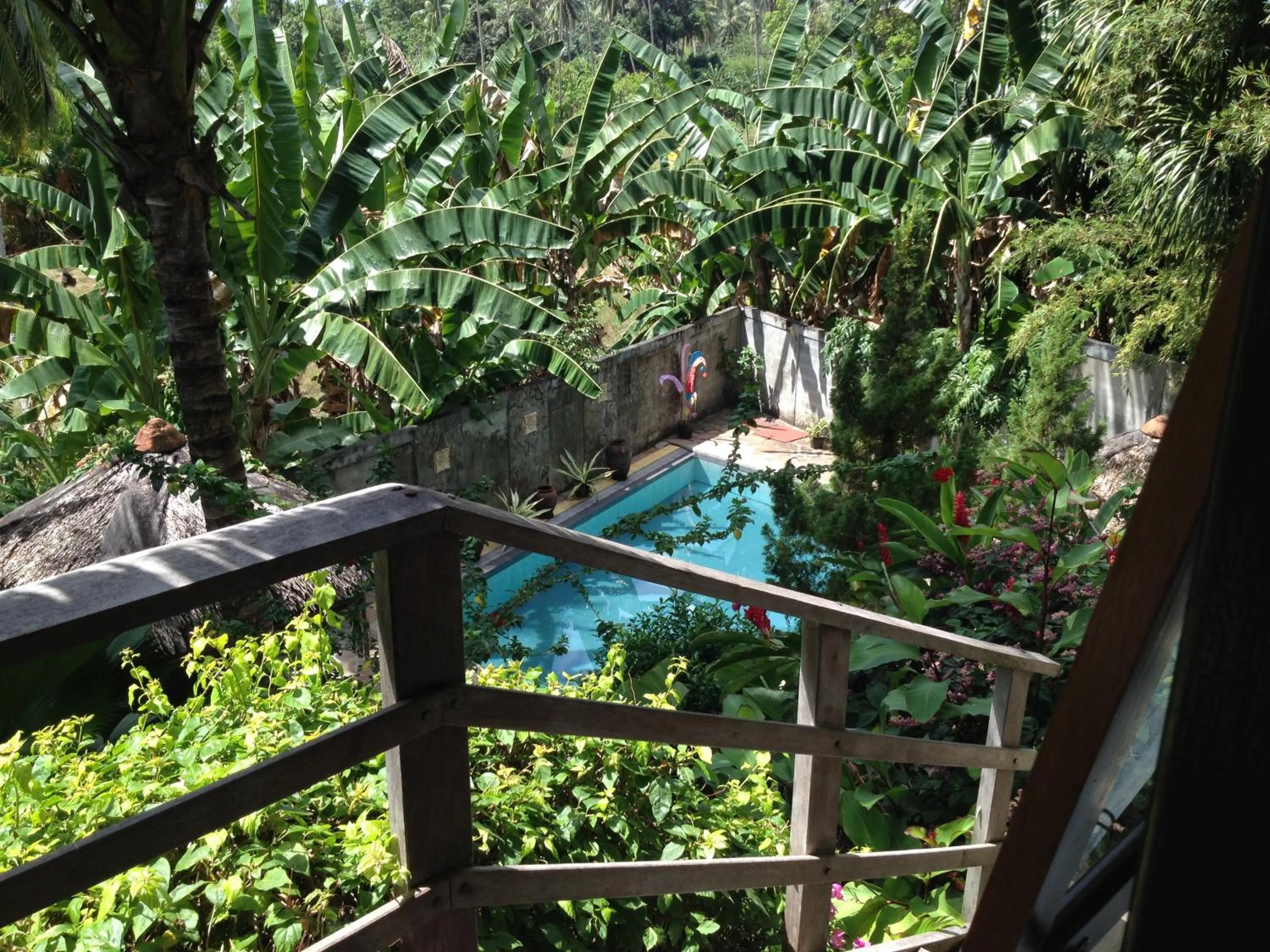 Day in Guesthouse The 4 Fish