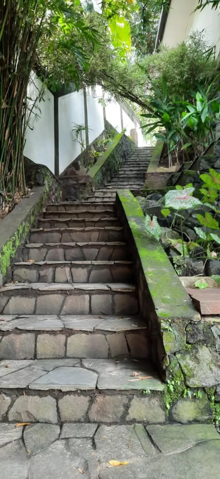 Guesthouse The 4 Fish