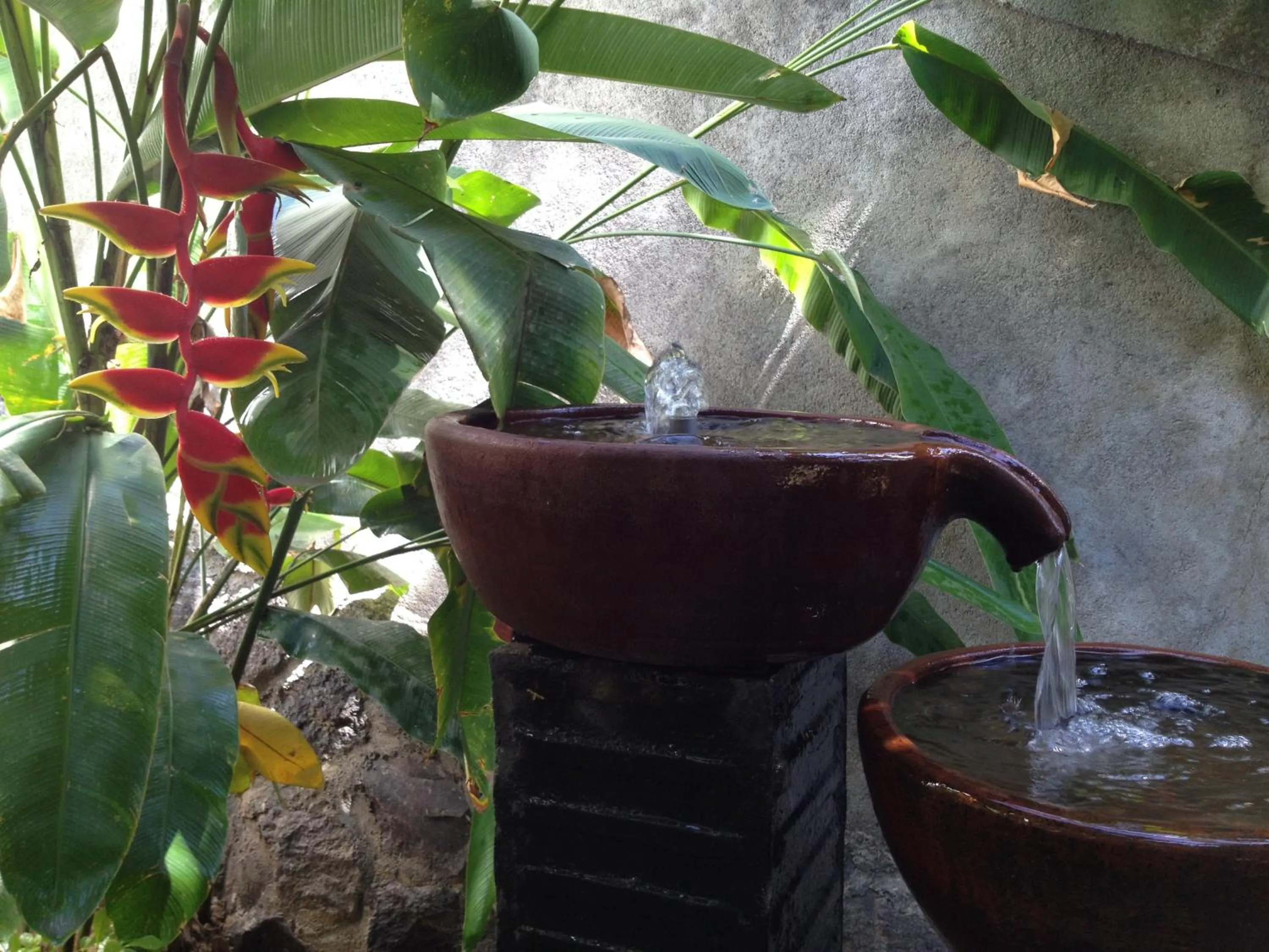 Garden in Guesthouse The 4 Fish